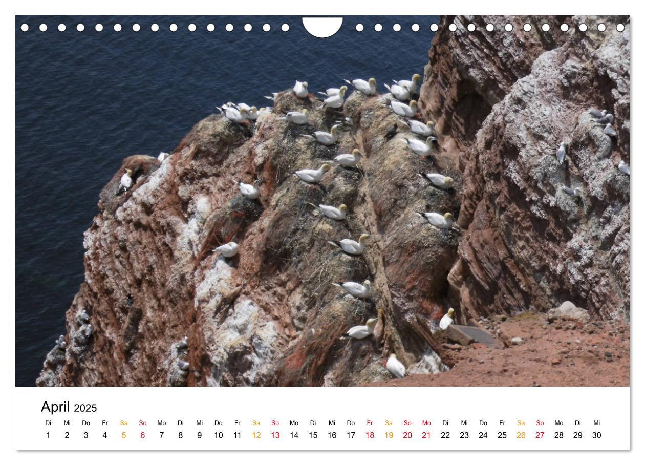 Bild: 9783435414390 | Helgoland Kalender (Wandkalender 2025 DIN A4 quer), CALVENDO...