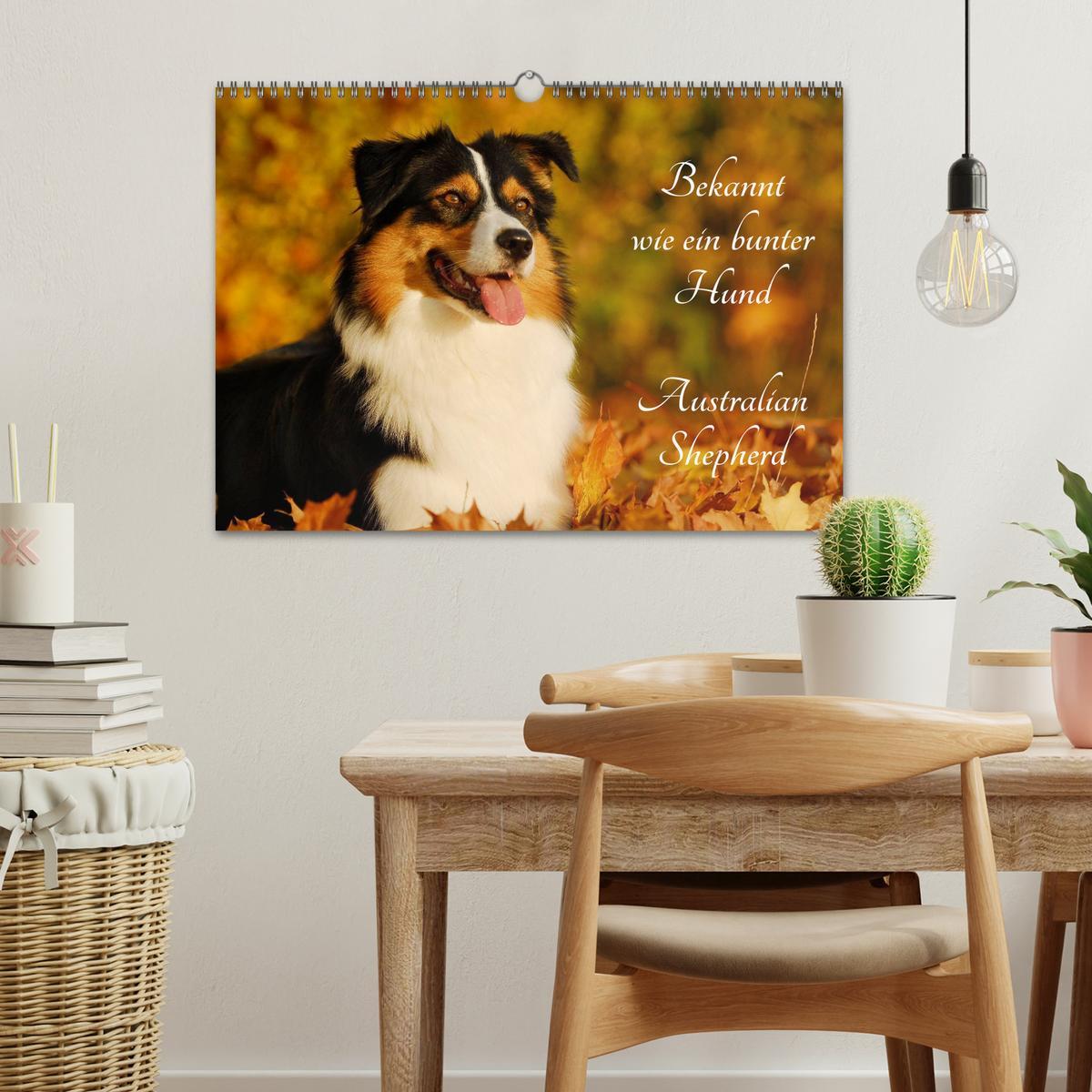 Bild: 9783435571130 | Bekannt wie ein bunter Hund. Australian Shepherd (Wandkalender 2025...