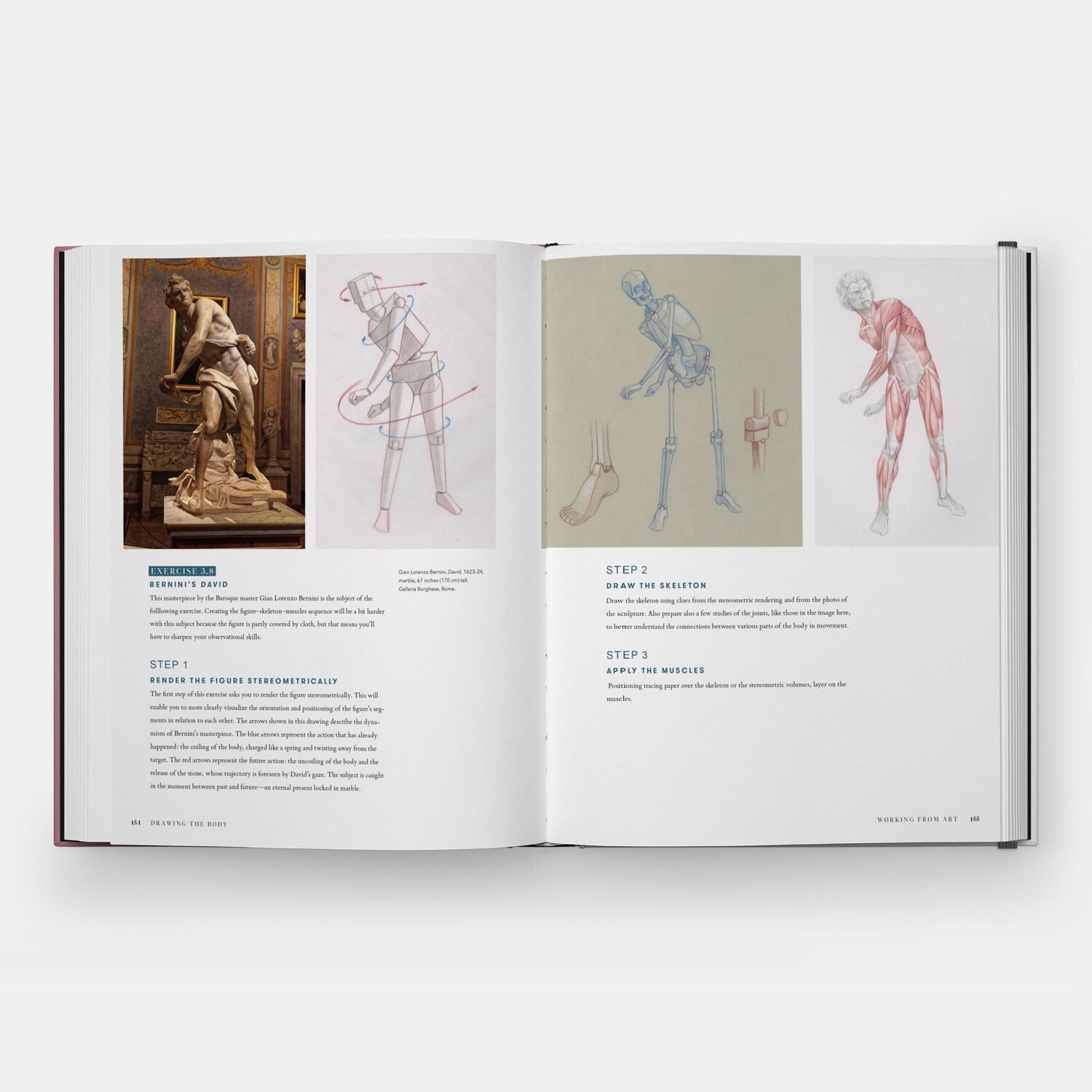 Bild: 9781580936453 | Drawing the Body | Reading the Human Form in Art | Roberto Osti | Buch