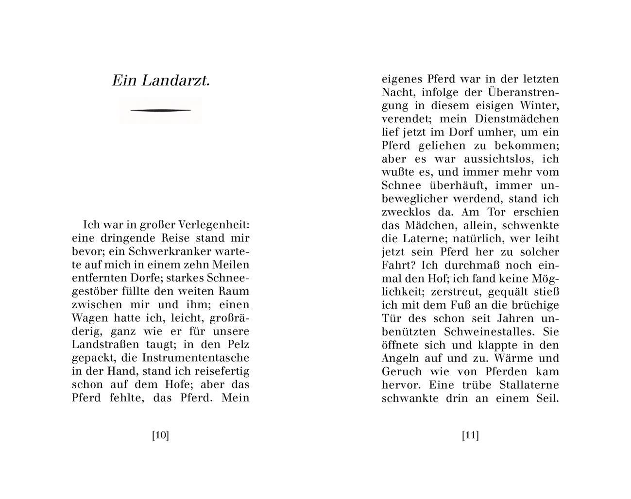 Bild: 9783899197938 | Ein Landarzt | Kleine Erzählungen | Franz Kafka | Taschenbuch | 2022