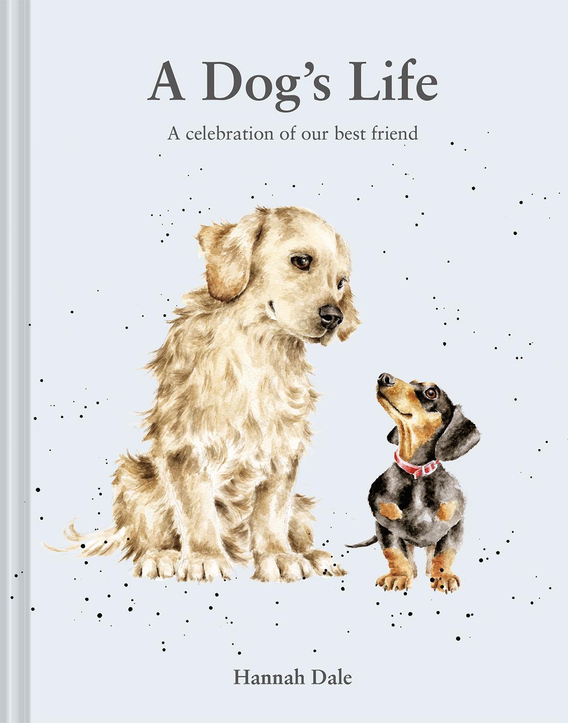 Cover: 9781849949255 | A Dog's Life | A Celebration of Our Best Friend | Hannah Dale | Buch