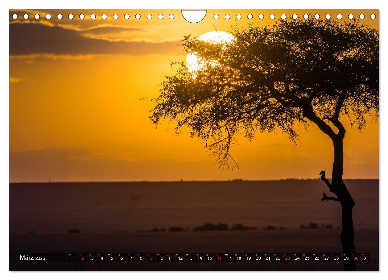 Bild: 9783435563241 | Ostafrika (Wandkalender 2025 DIN A4 quer), CALVENDO Monatskalender