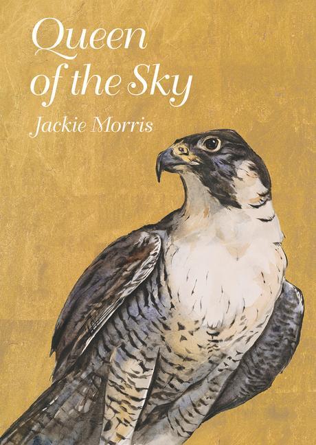 Cover: 9781913634773 | Queen of the Sky | Jackie Morris | Buch | Gebunden | Englisch | 2024