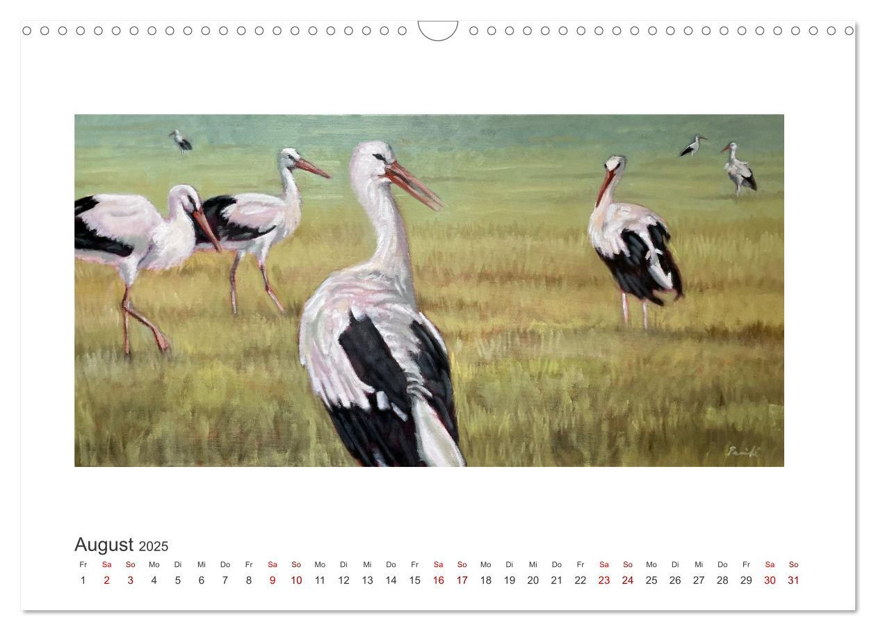 Bild: 9783383841170 | Auf leichten Schwingen - Zugvögel (Wandkalender 2025 DIN A3 quer),...