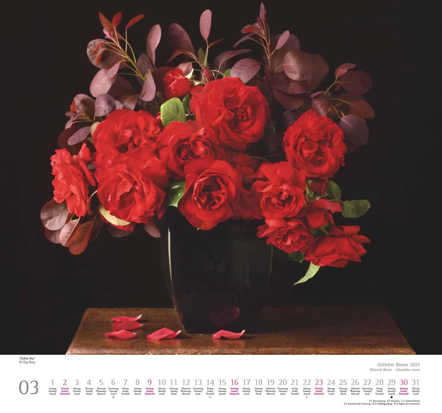 Bild: 4250809653082 | Geliebte Rosen 2025 - DUMONT Wandkalender - mit allen wichtigen...