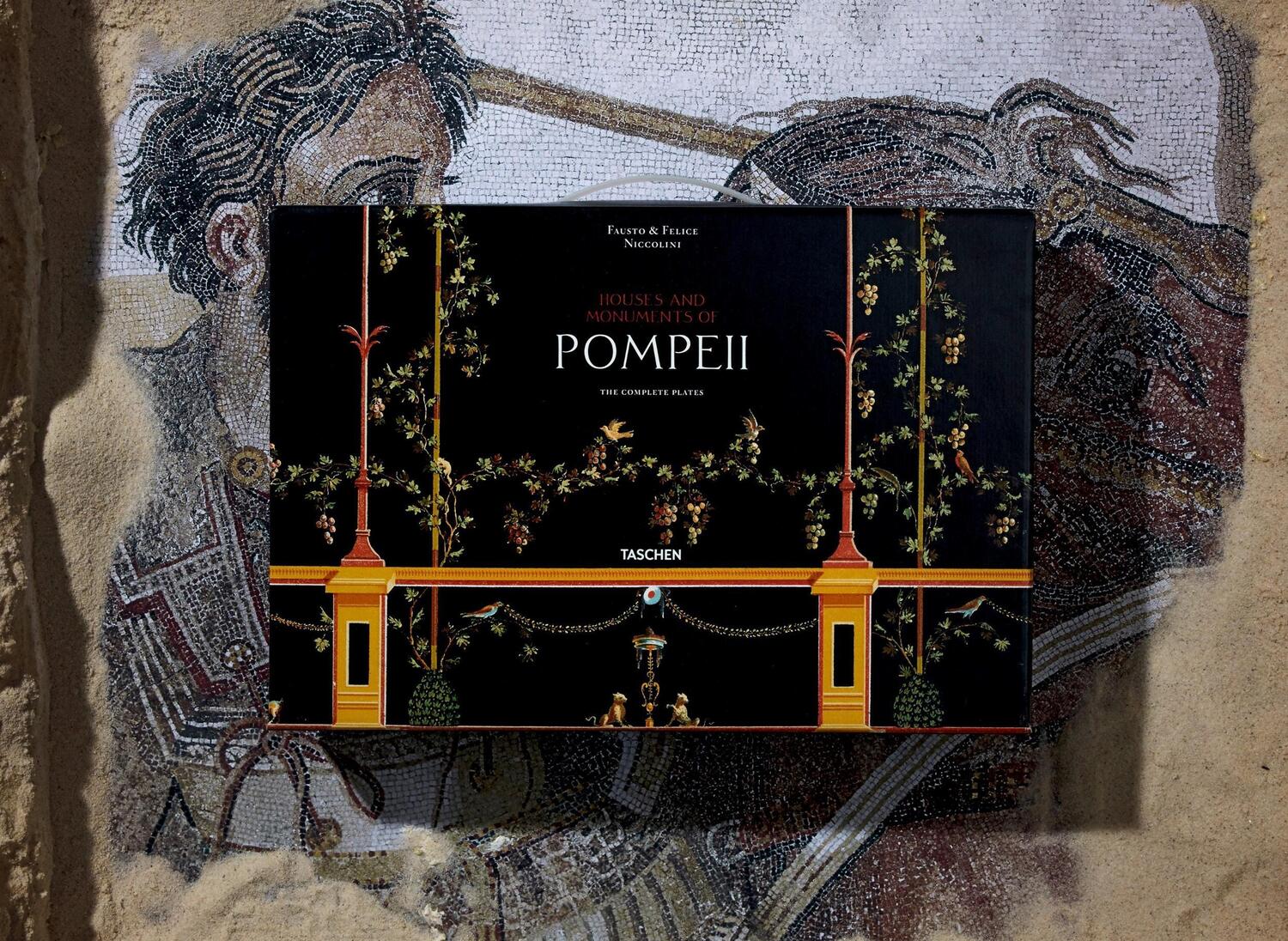 Bild: 9783836556873 | Fausto &amp; Felice Niccolini. Houses and Monuments of Pompeii | Buch