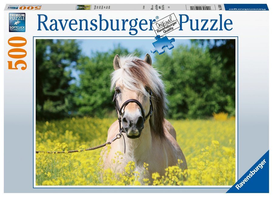 Cover: 4005556150380 | Pferd im Rapsfeld (Puzzle) | Spiel | In Spielebox | 15038 | Deutsch