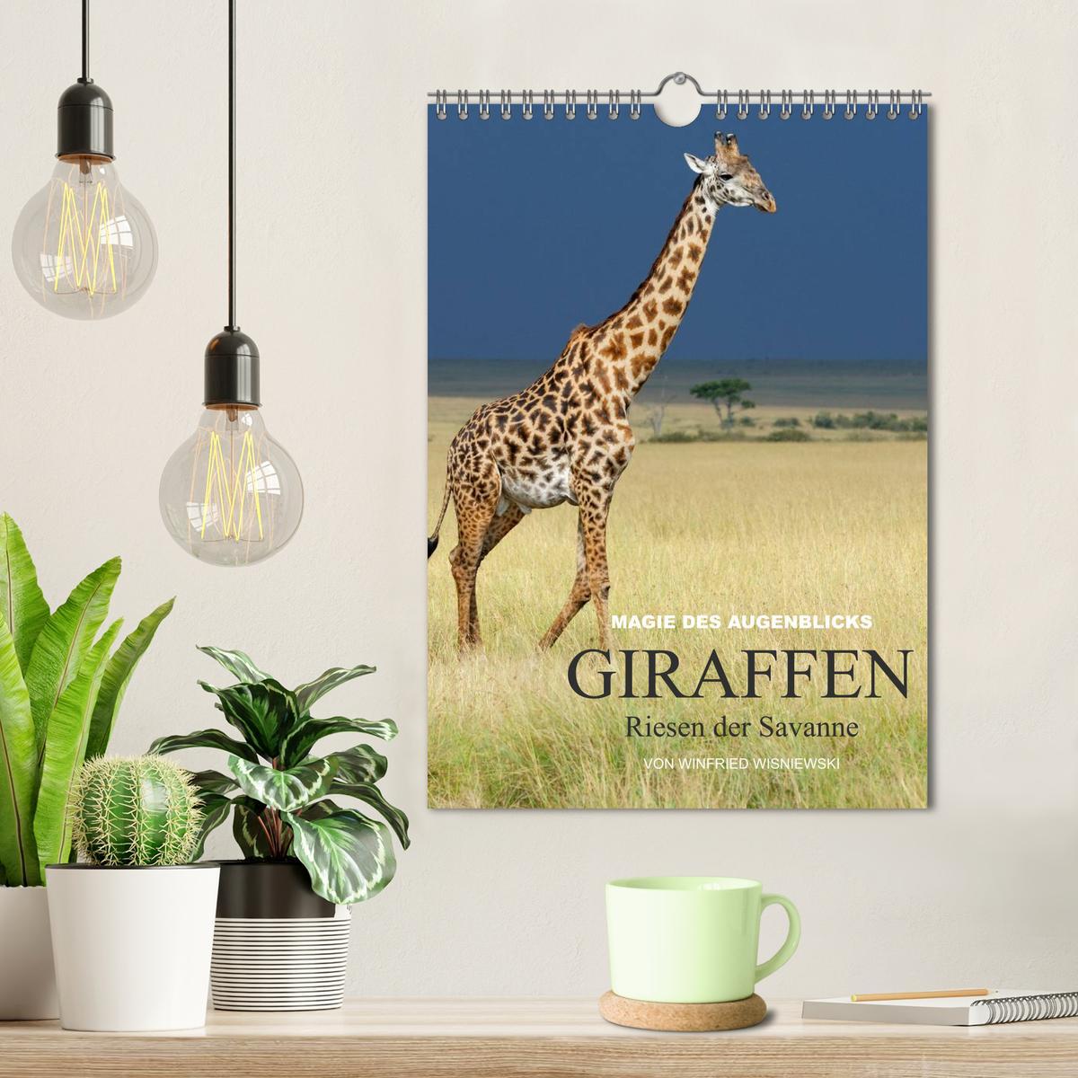 Bild: 9783457068939 | Magie des Augenblicks - Giraffen - Riesen der Savanne (Wandkalender...