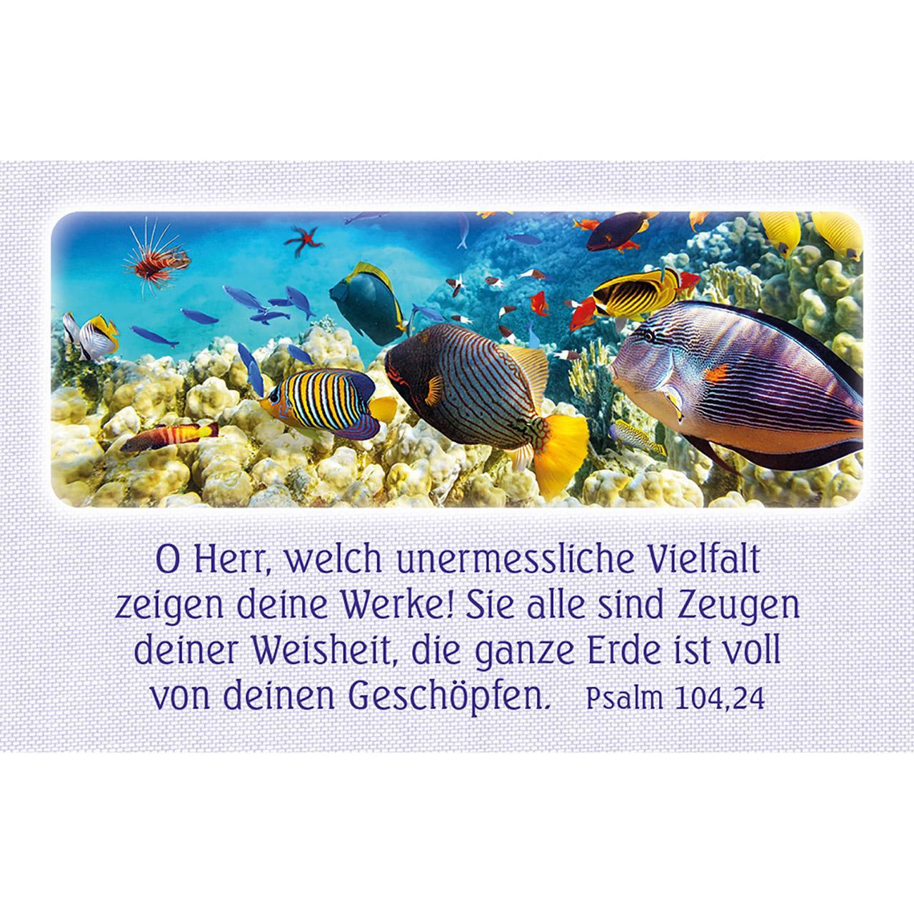 Bild: 4034905014936 | 62 Psalm-Gebete | mit Farbbildern und Bibelworten | Taschenbuch | 2024