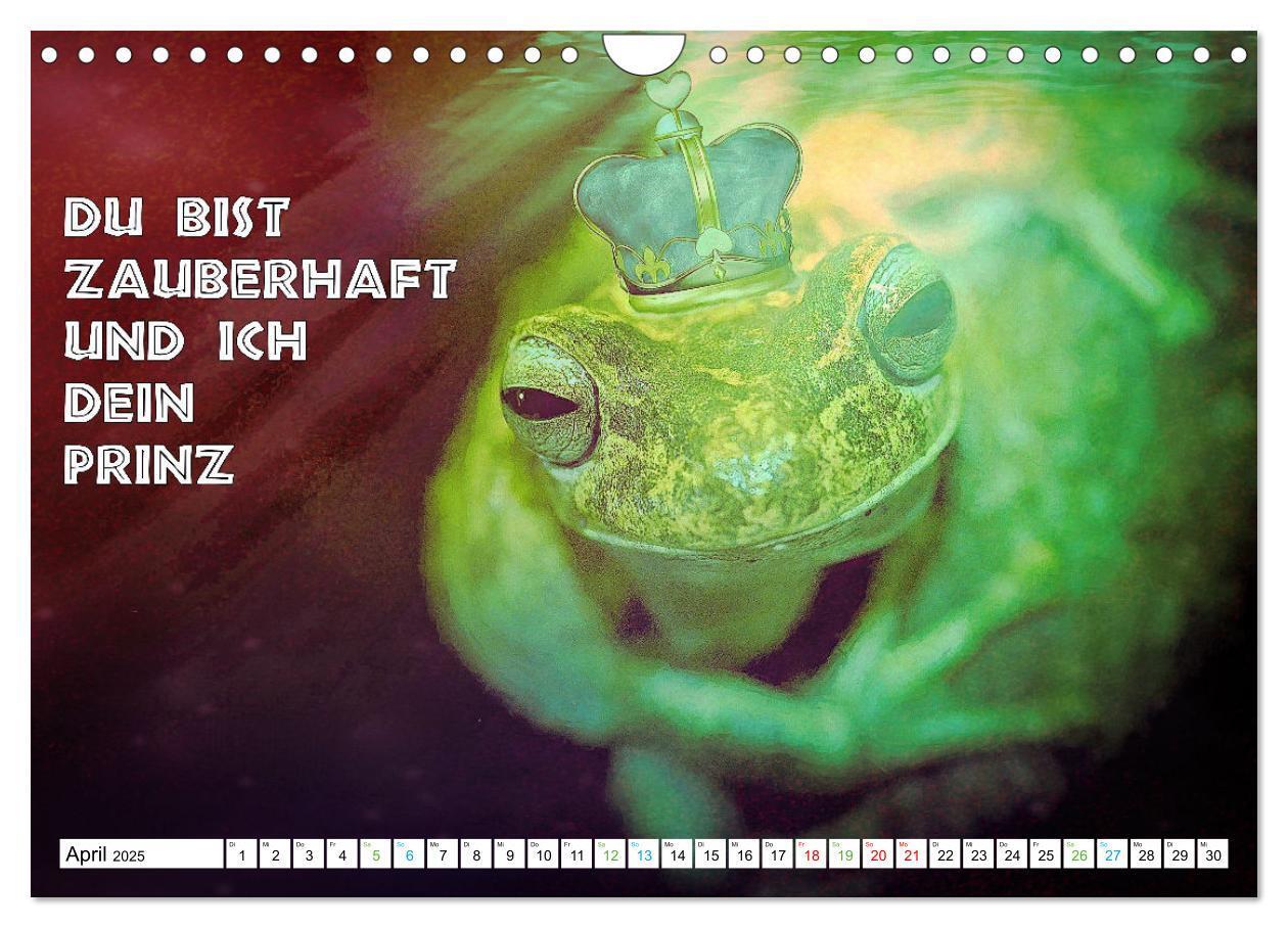 Bild: 9783383916595 | Frosch quakt Sprüche (Wandkalender 2025 DIN A4 quer), CALVENDO...