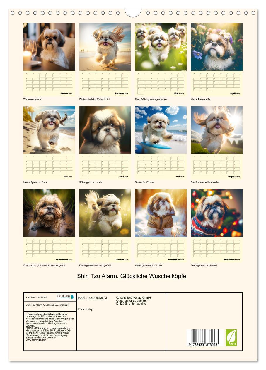 Bild: 9783435873623 | Shih Tzu Alarm. Glückliche Wuschelköpfe (Wandkalender 2025 DIN A3...