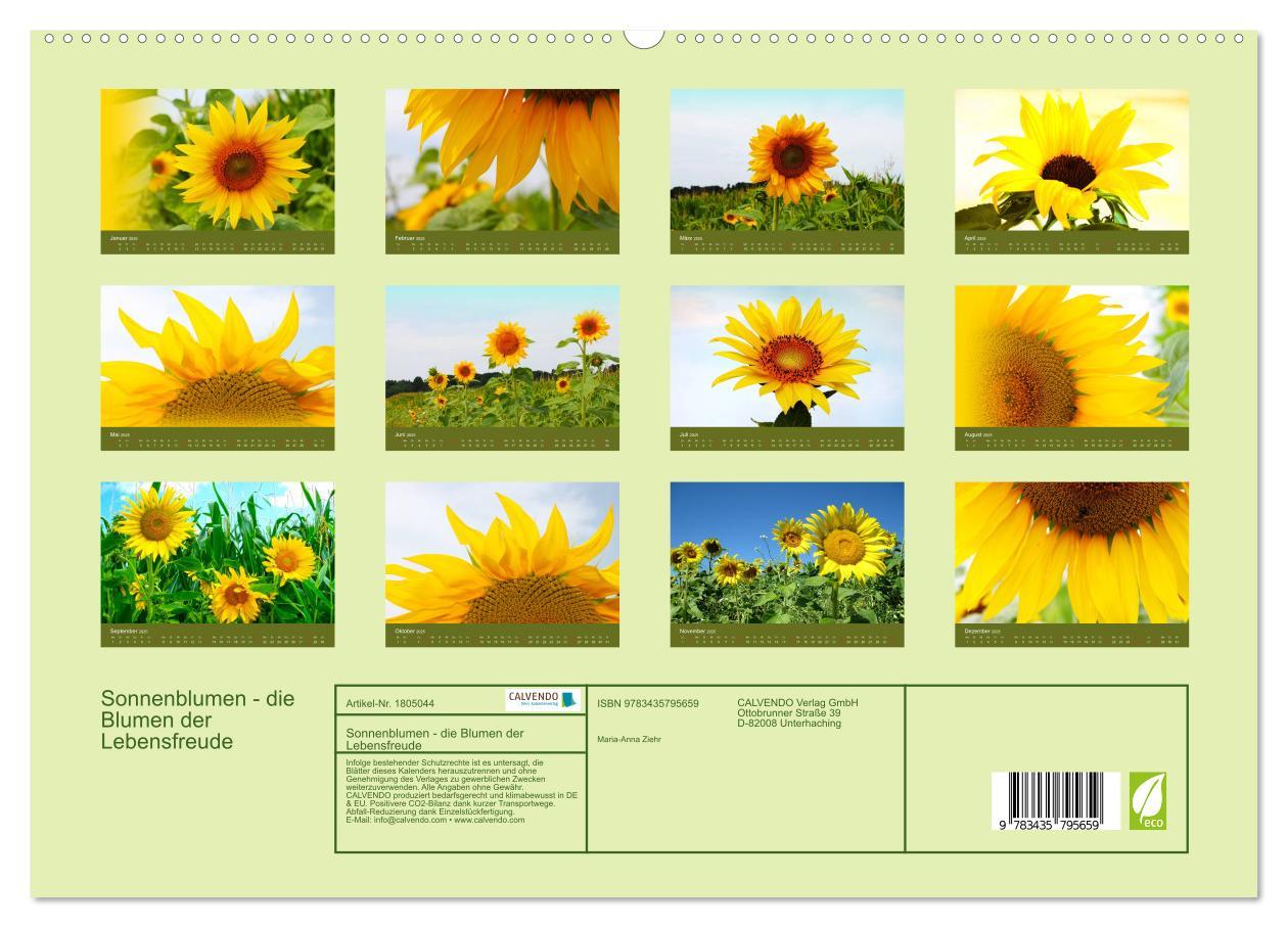 Bild: 9783435795659 | Sonnenblumen - die Blumen der Lebensfreude (hochwertiger Premium...