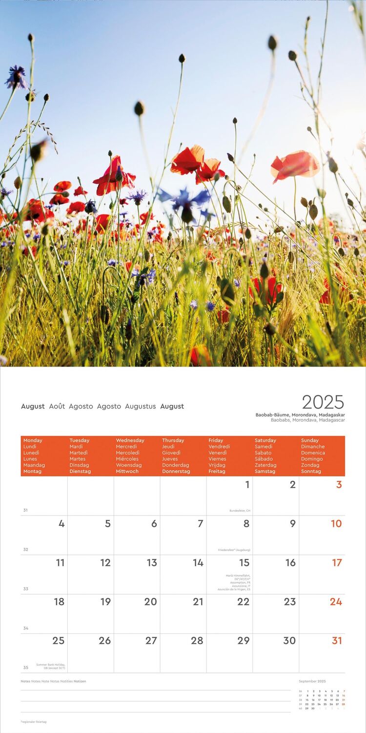 Bild: 9783965914049 | Summertime - KUNTH Broschurkalender 2025 | Kalender | 28 S. | Deutsch