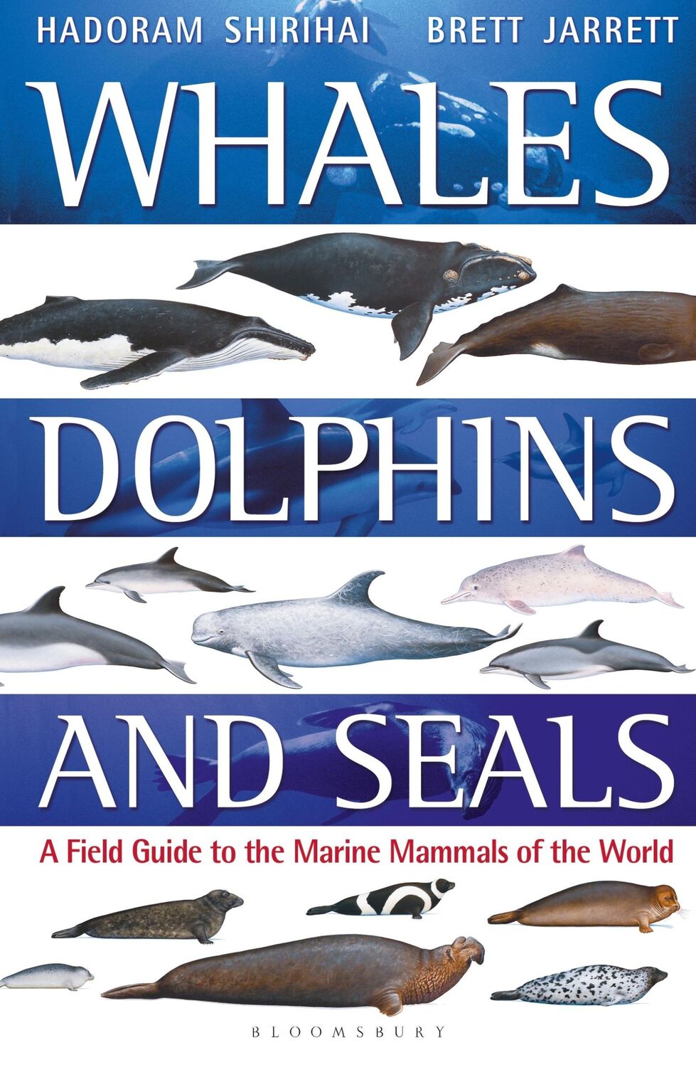 Cover: 9781472969668 | Whales, Dolphins and Seals | Hadoram Shirihai (u. a.) | Taschenbuch