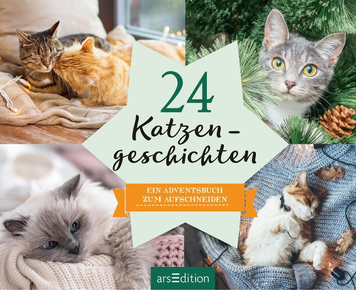 Bild: 9783845835969 | 24 Katzengeschichten | Ein Adventsbuch zum Aufschneiden | Buch | 96 S.