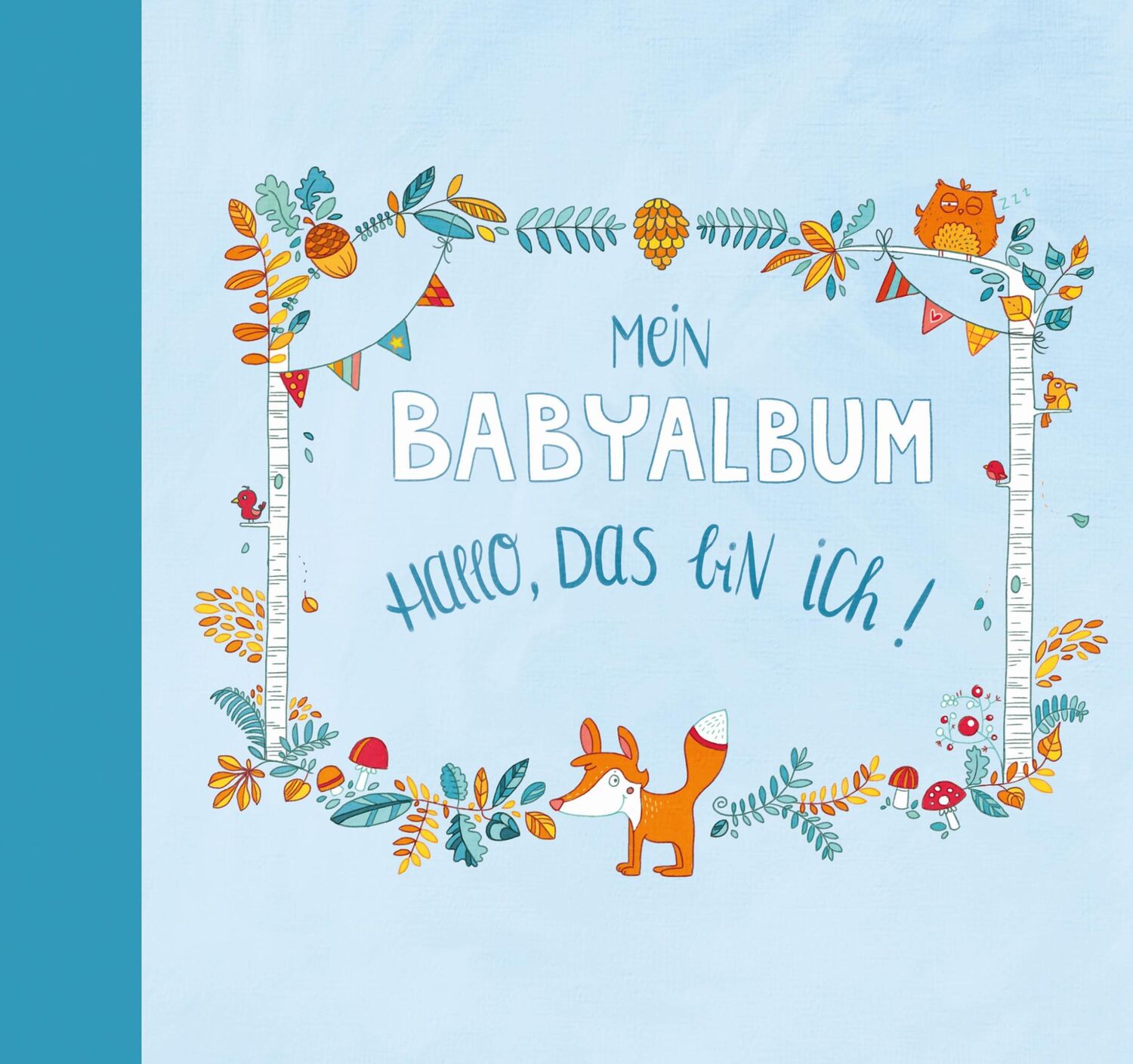 Cover: 9783734870507 | Mein Babyalbum - Hallo, das bin ich! (Jungen) | Anna Taube | Buch