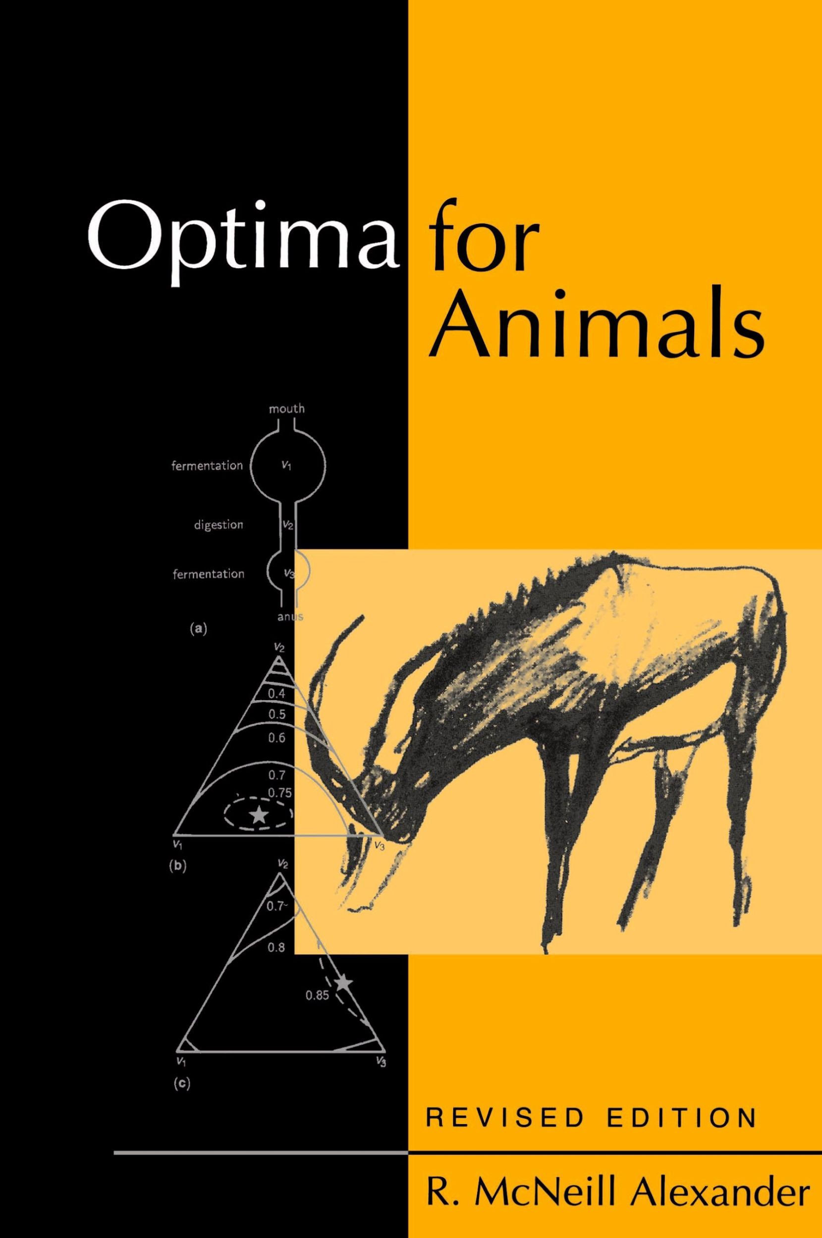 Cover: 9780691027982 | Optima for Animals | Revised Edition | R. McNeill Alexander | Buch