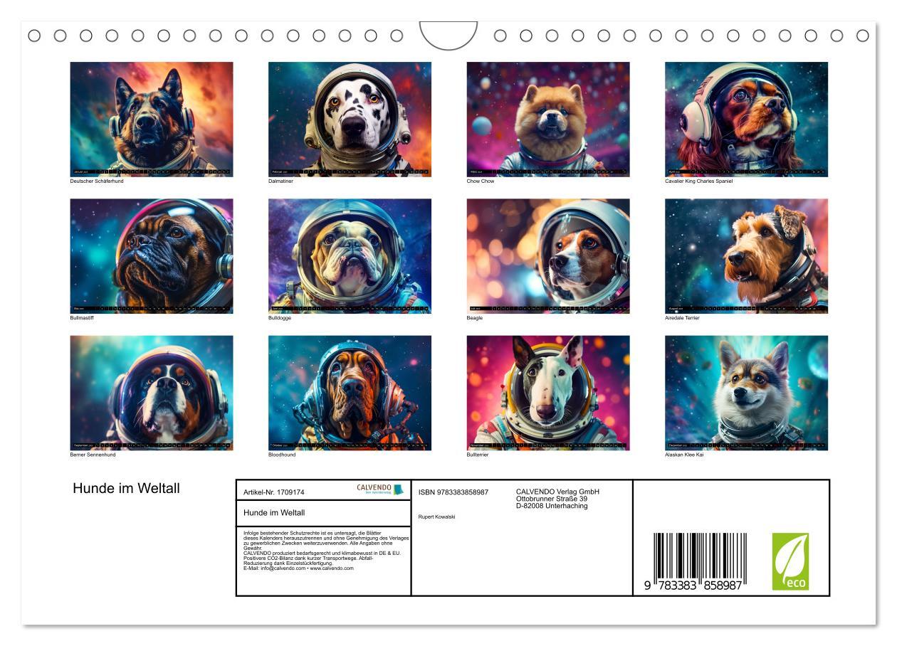 Bild: 9783383858987 | Hunde im Weltall (Wandkalender 2025 DIN A4 quer), CALVENDO...