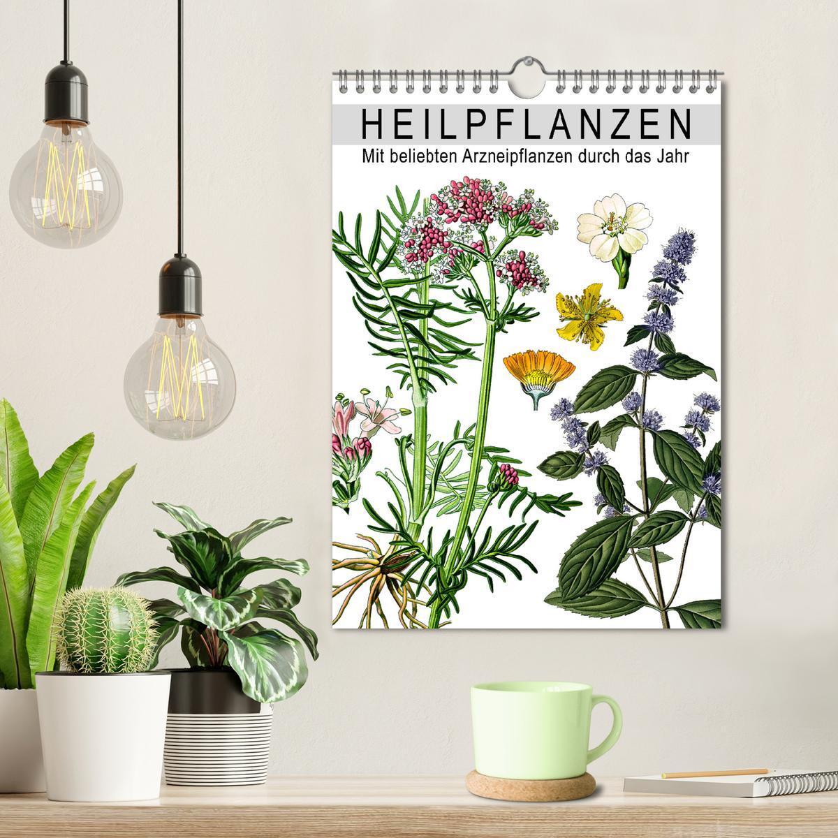 Bild: 9783457059364 | Heilpflanzen (Wandkalender 2025 DIN A4 hoch), CALVENDO Monatskalender