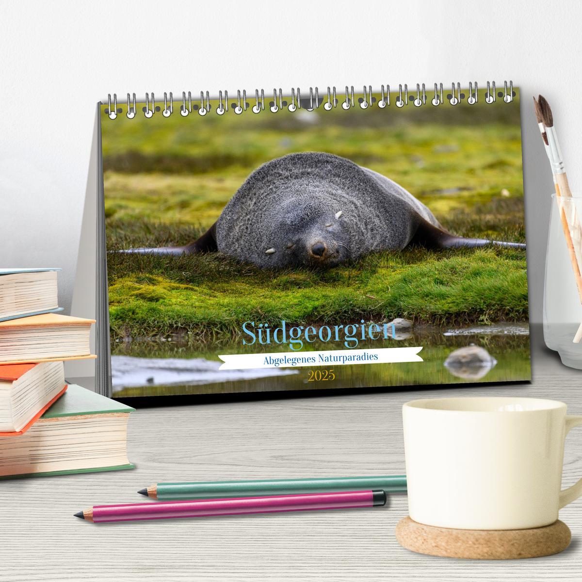 Bild: 9783383844324 | Südgeorgien - Abgelegenes Naturparadies (Tischkalender 2025 DIN A5...