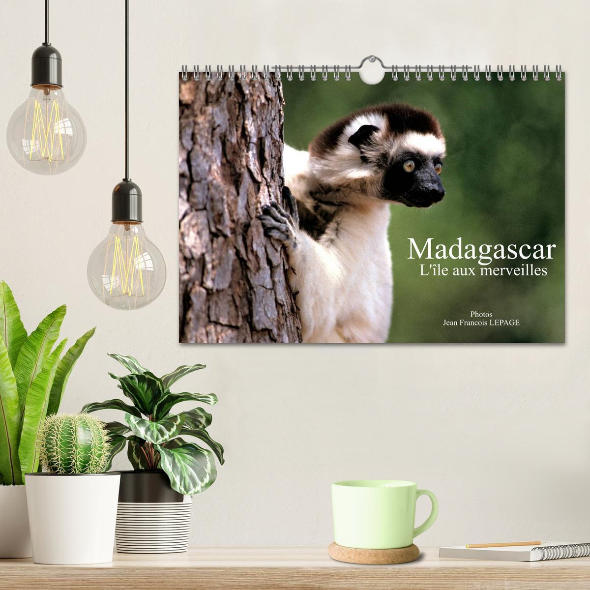 Bild: 9781325960613 | Madagascar L'île aux merveilles (Calendrier mural 2025 DIN A4...