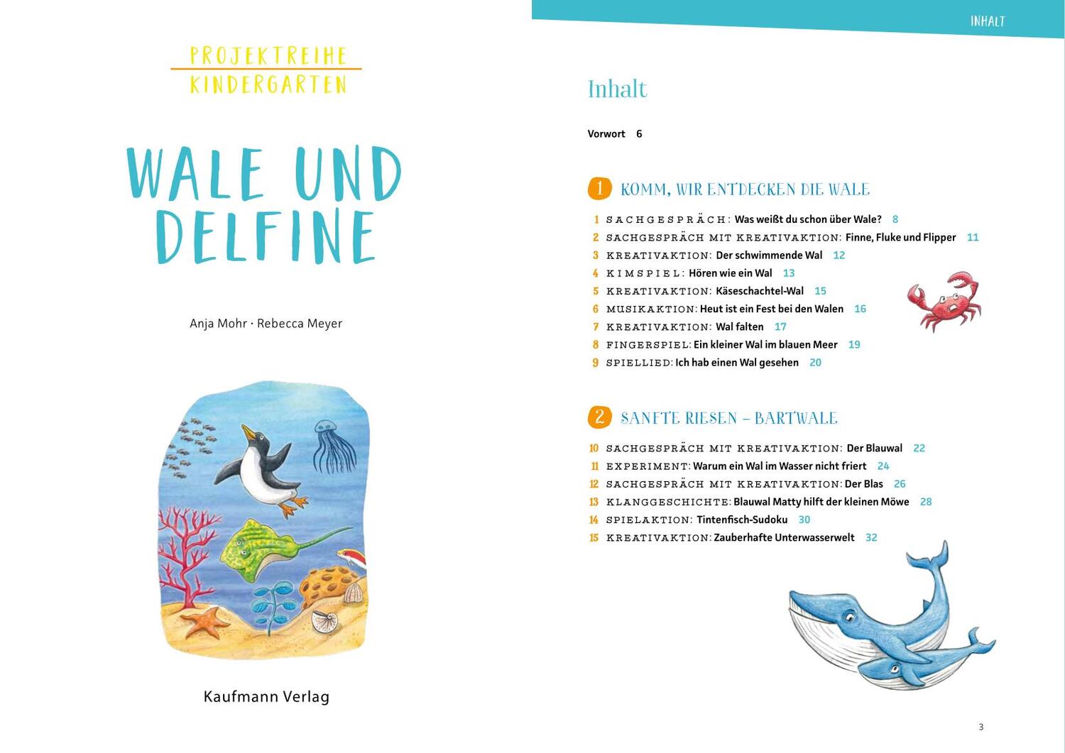 Bild: 9783780651693 | Projektreihe Kindergarten - Wale und Delfine | Anja Mohr | Taschenbuch