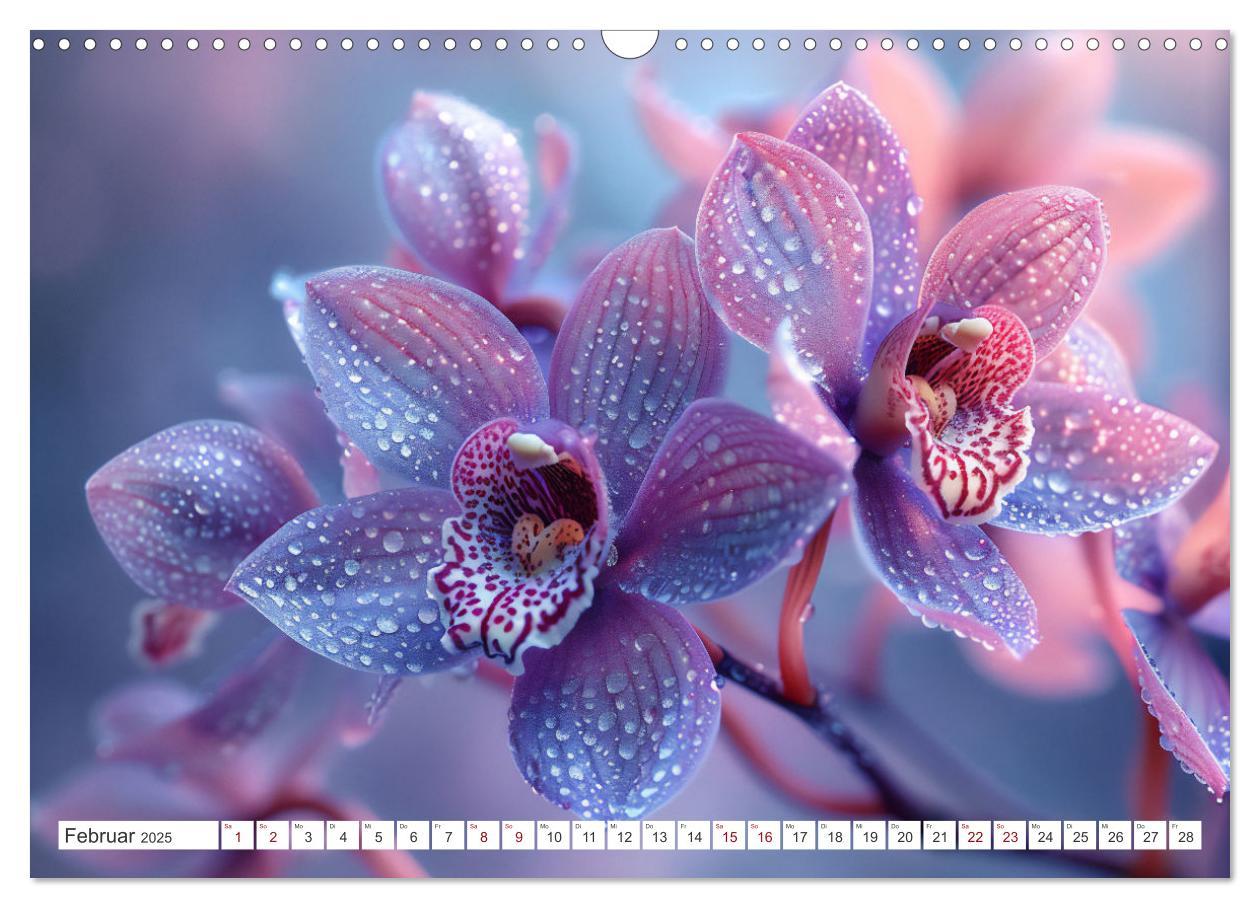 Bild: 9783457165126 | Orchideen - farbenfroh durchs Jahr (Wandkalender 2025 DIN A3 quer),...