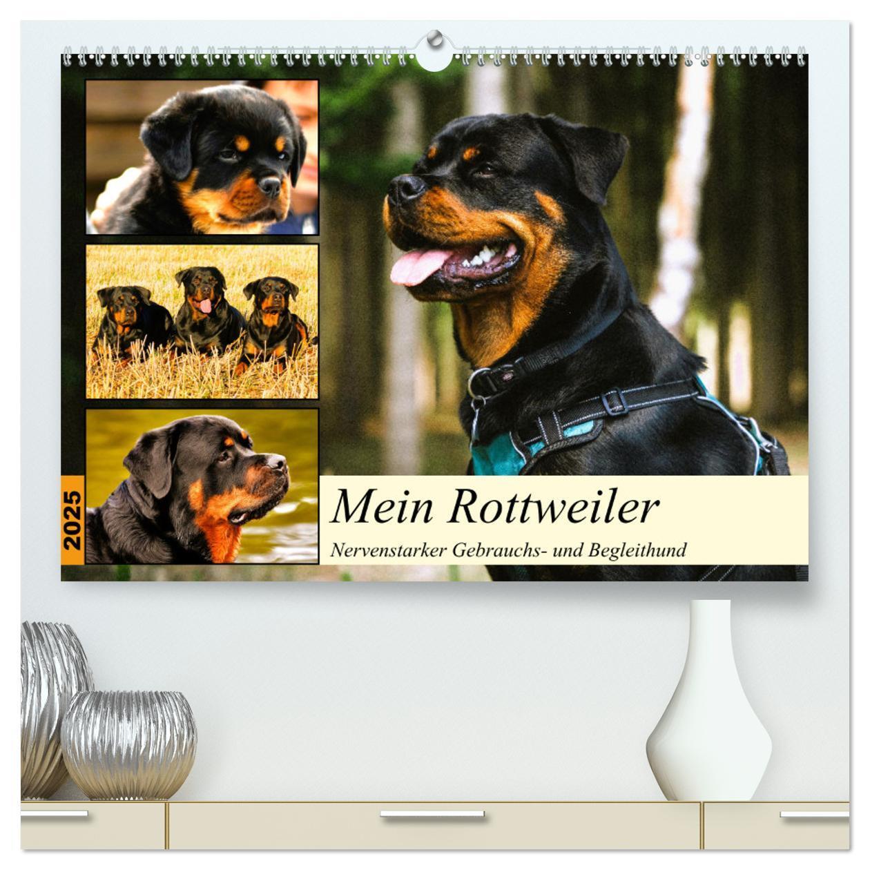 Cover: 9783383944024 | Mein Rottweiler. Nervenstarker Gebrauchs- und Begleithund...