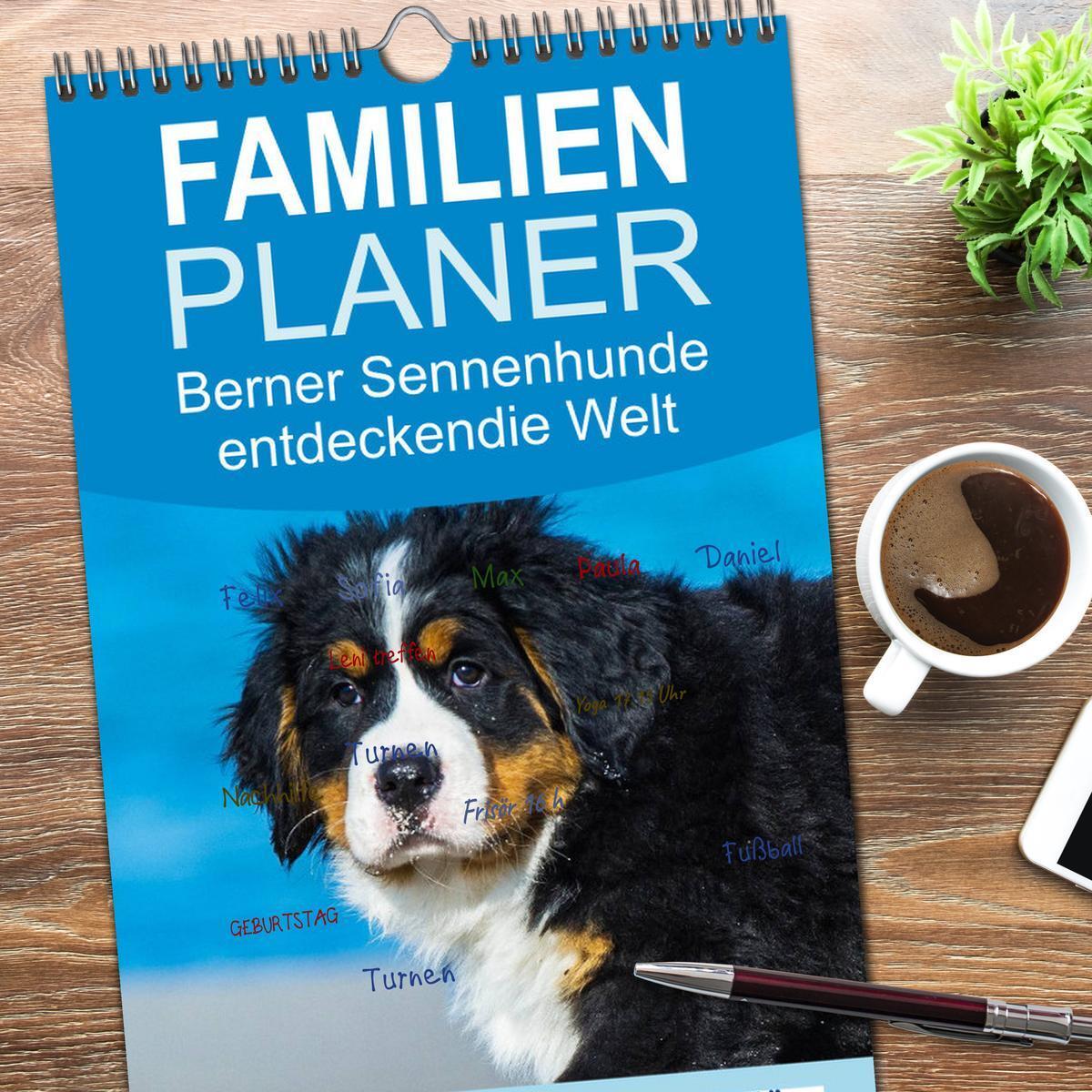 Bild: 9783457125212 | Familienplaner 2025 - Seebärchen entdecken die Welt - Berner...