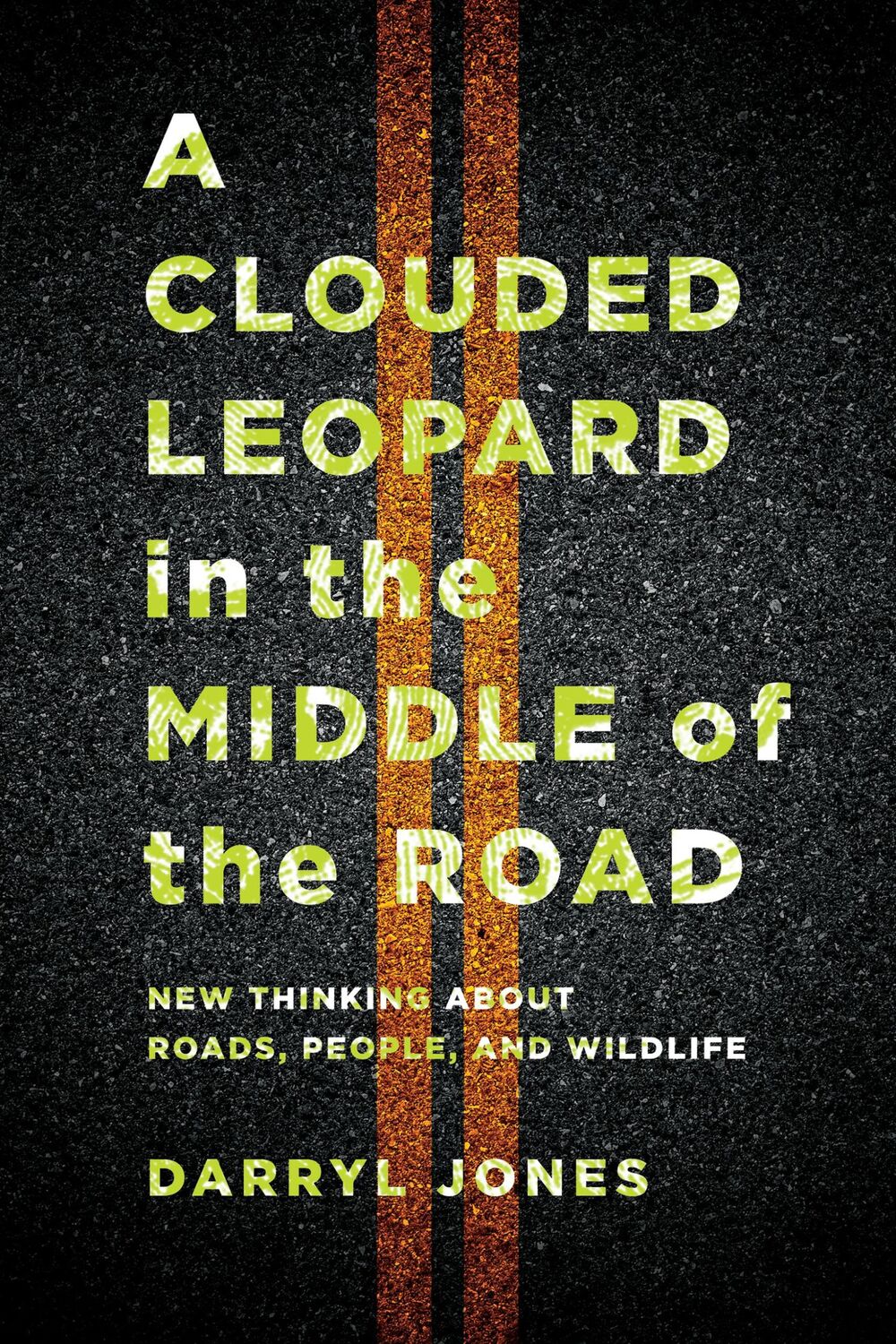 Cover: 9781501763717 | A Clouded Leopard in the Middle of the Road | Darryl Jones | Buch