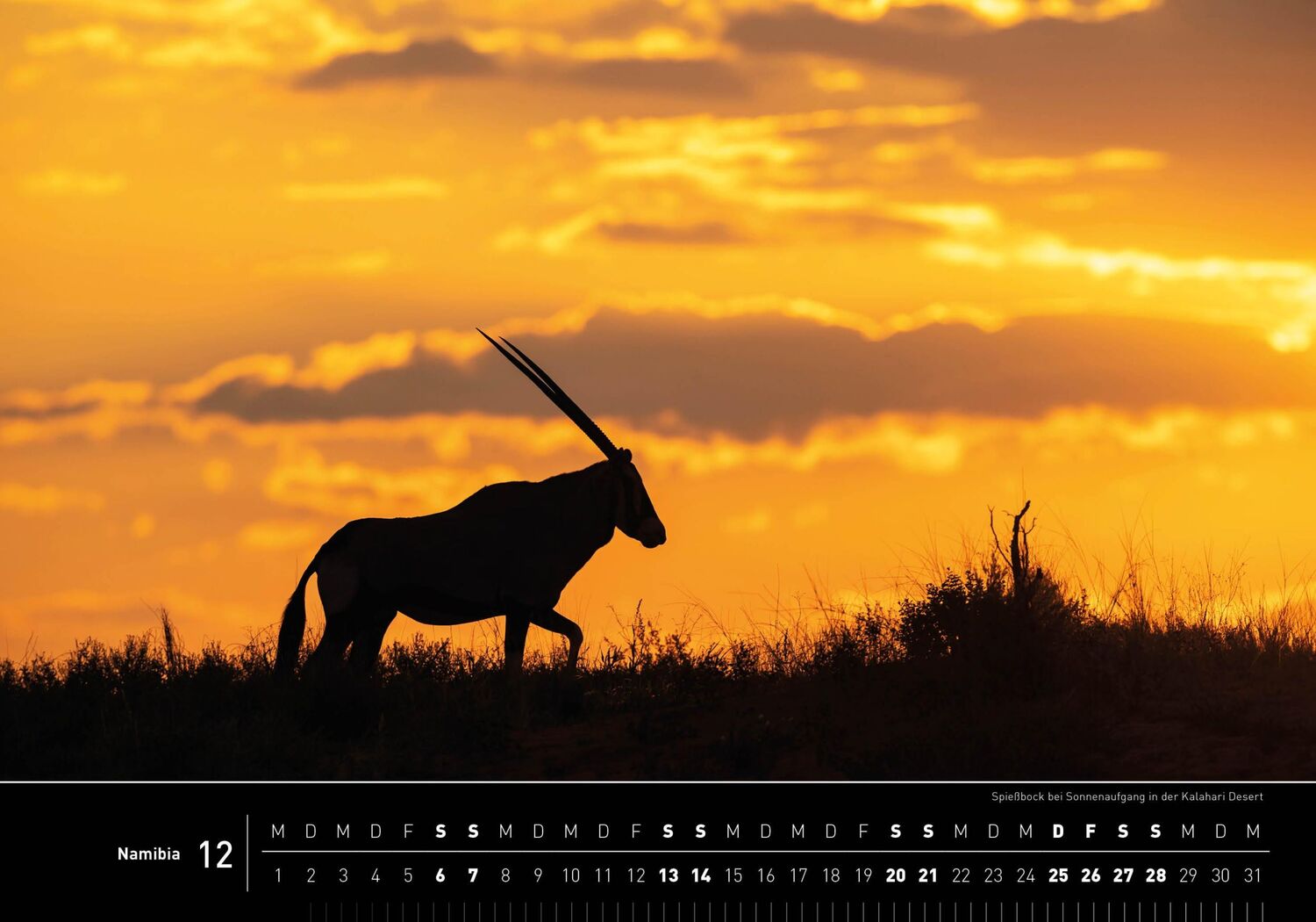 Bild: 9783968555201 | 360° Namibia Premiumkalender 2025 | Thomas Dreßler | Kalender | 13 S.