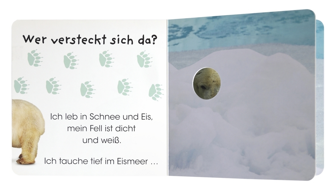 Bild: 9783831039470 | Wer versteckt sich da? Im Zoo | Sandra Grimm | Buch | 28 S. | Deutsch