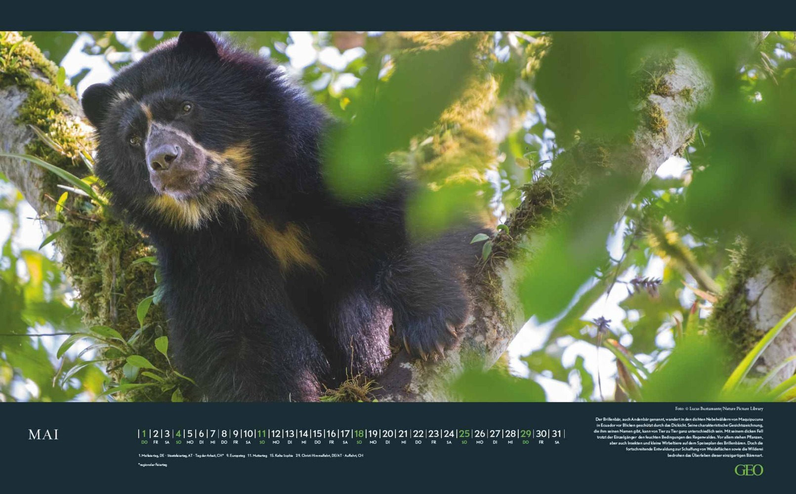 Bild: 4002725988645 | GEO Bedrohte Tierwelt 2025 - Wand-Kalender - Tier-Kalender -...