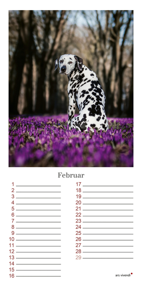 Bild: 9783747203965 | Geburtstagskalender Hunde | Immerwährender Kalender | Verlag | 12 S.