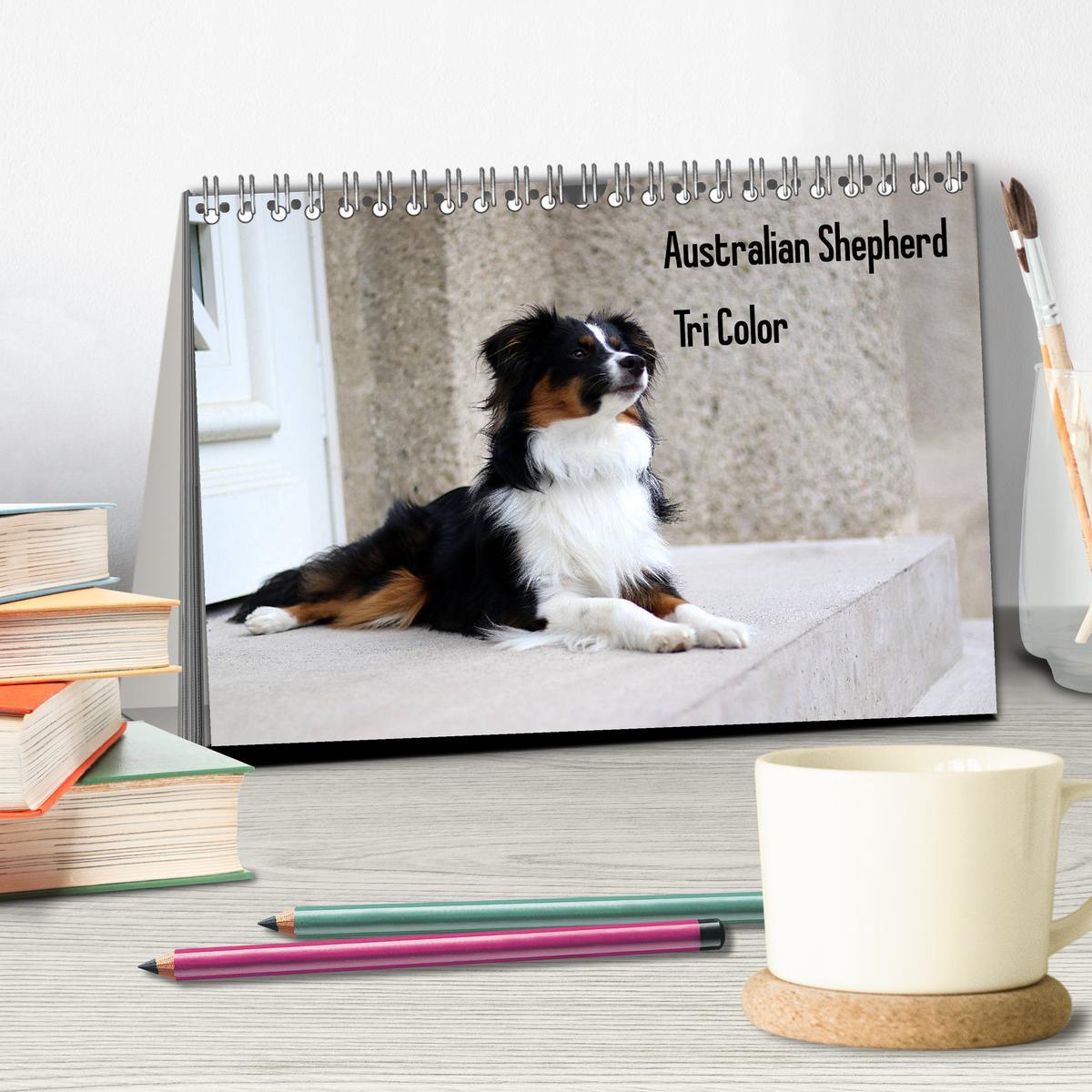 Bild: 9783435185153 | Australian Shepherd Tri Color (Tischkalender 2025 DIN A5 quer),...