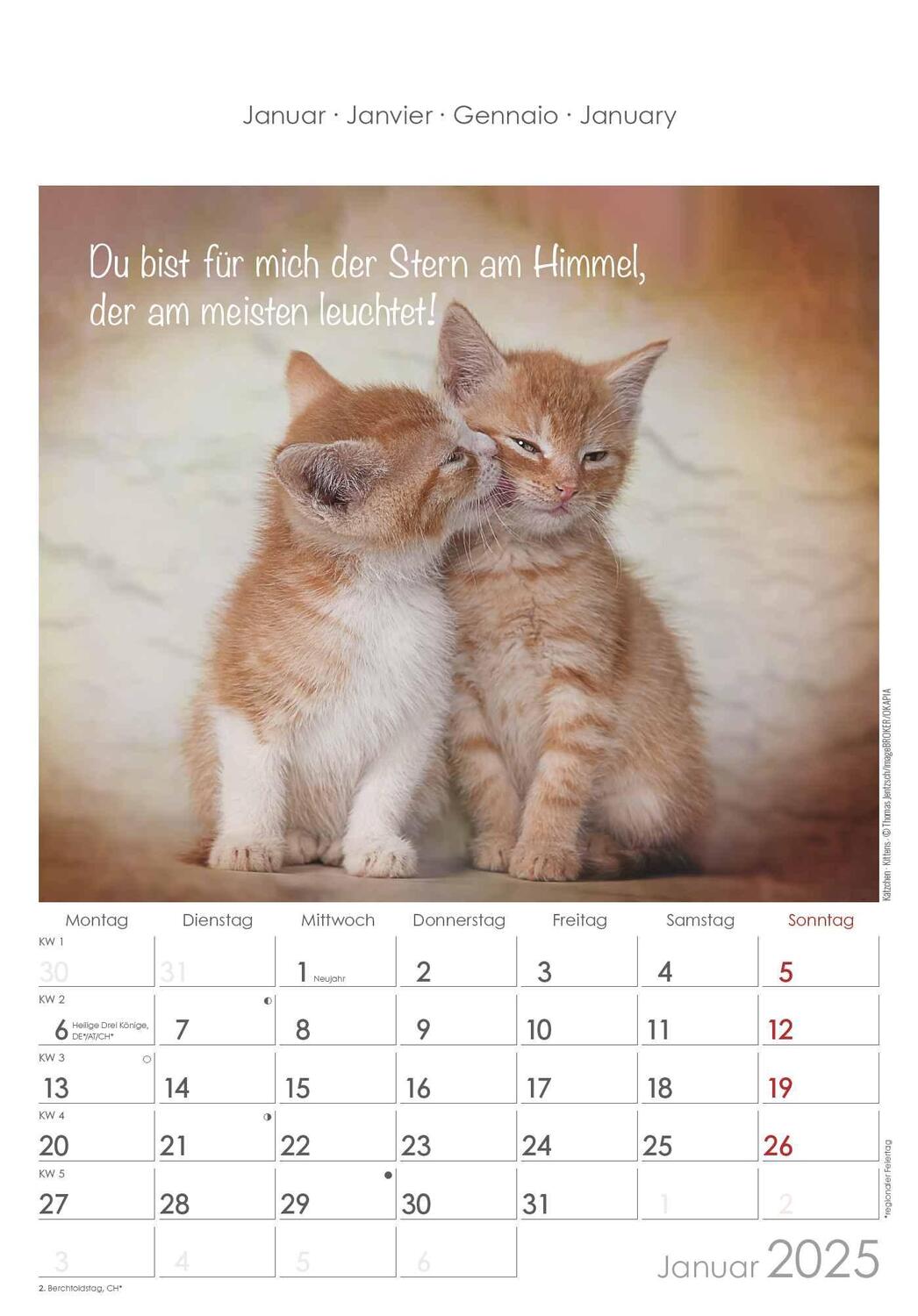 Bild: 4251732341039 | Kleine Freunde 2025 - Bildkalender 23,7x34 cm - Kalender mit Platz...