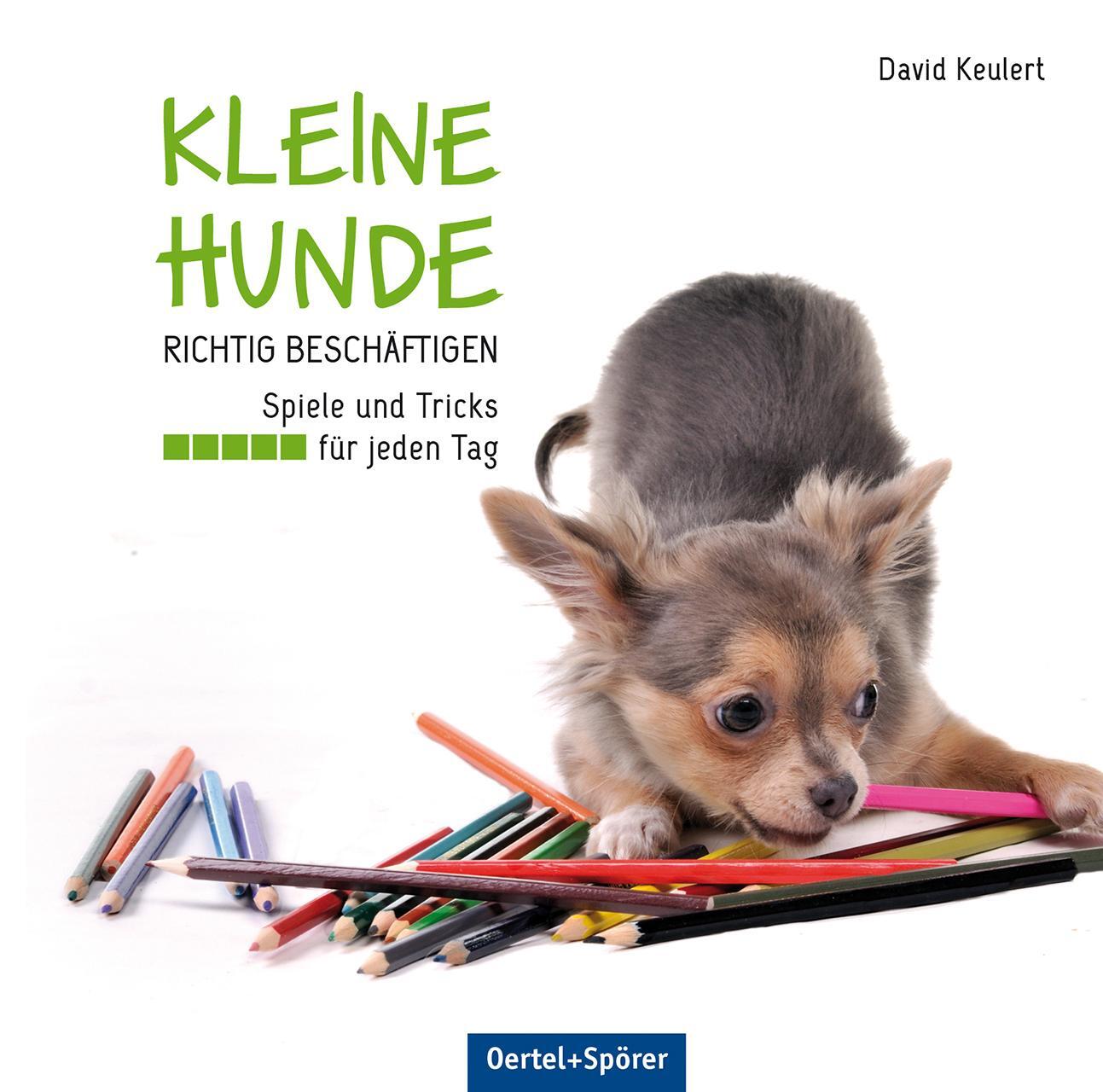 Cover: 9783886278640 | Kleine Hunde richtig beschäftigen | Spiele und Tricks für jeden Tag