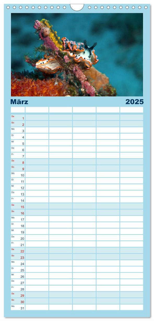 Bild: 9783457135228 | Familienplaner 2025 - Meeres-Schnecken mit 5 Spalten (Wandkalender,...