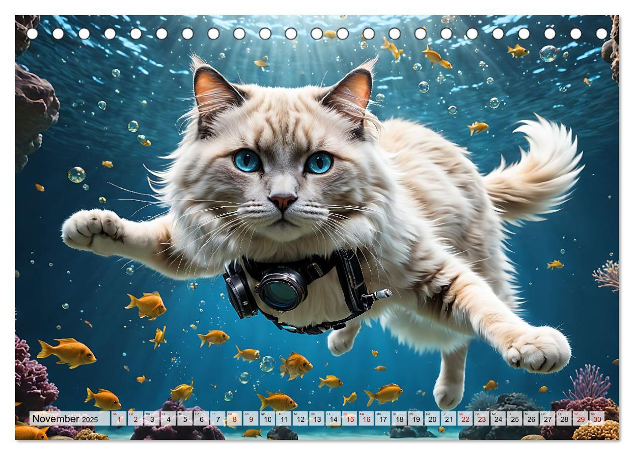 Bild: 9783383843945 | Katzen unter Wasser (Tischkalender 2025 DIN A5 quer), CALVENDO...