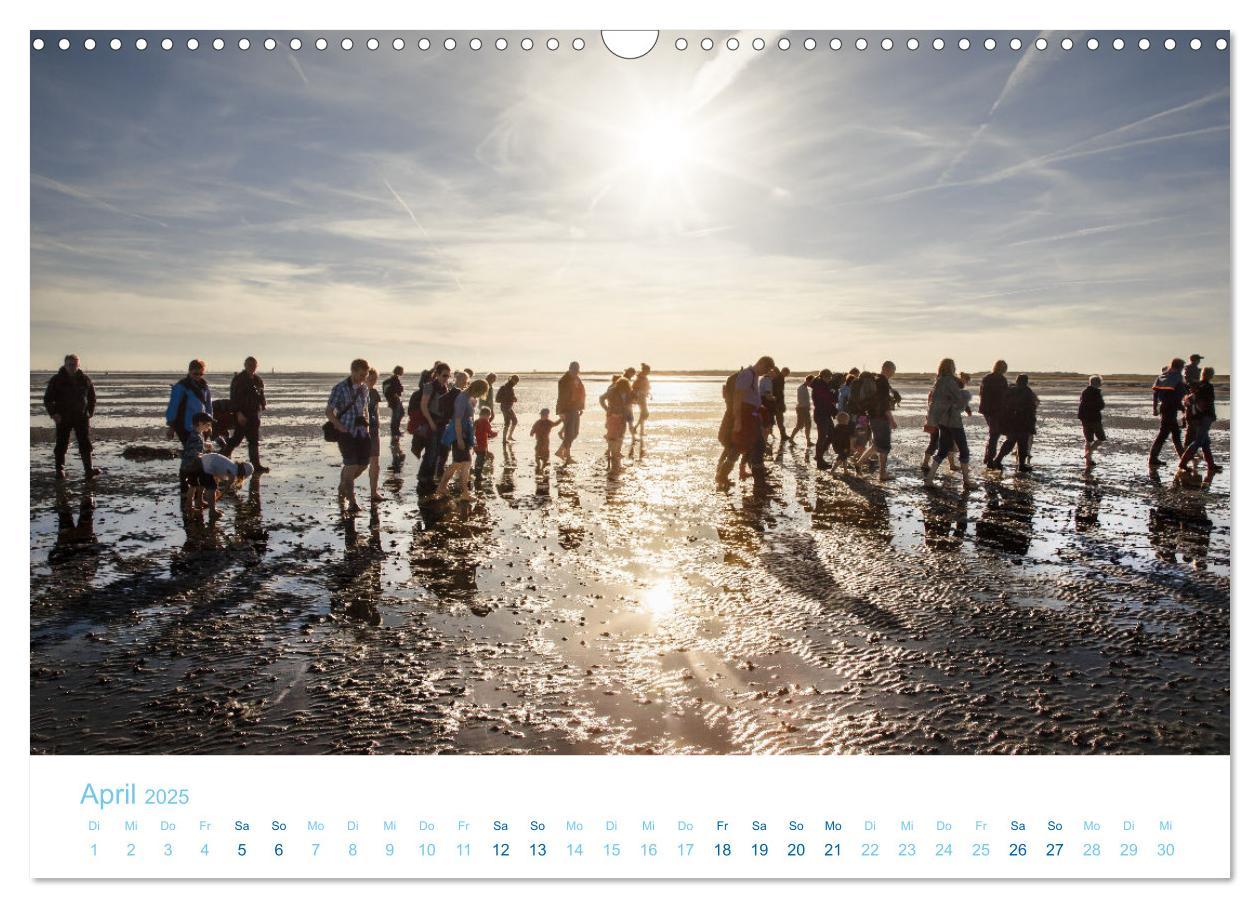 Bild: 9783435071234 | Mehr Nordsee (Wandkalender 2025 DIN A3 quer), CALVENDO Monatskalender