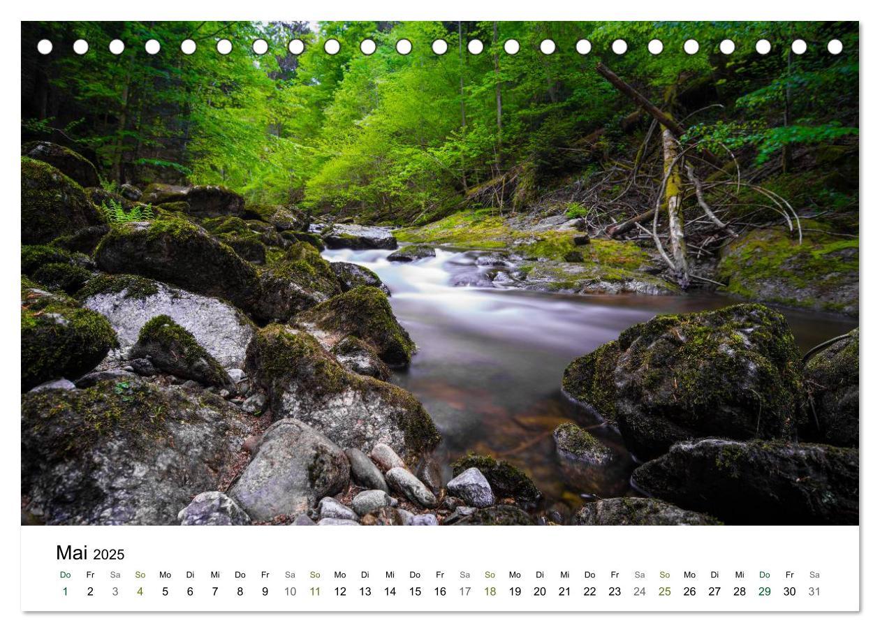 Bild: 9783435570485 | Traumlandschaften im Bayrischen Wald (Tischkalender 2025 DIN A5...