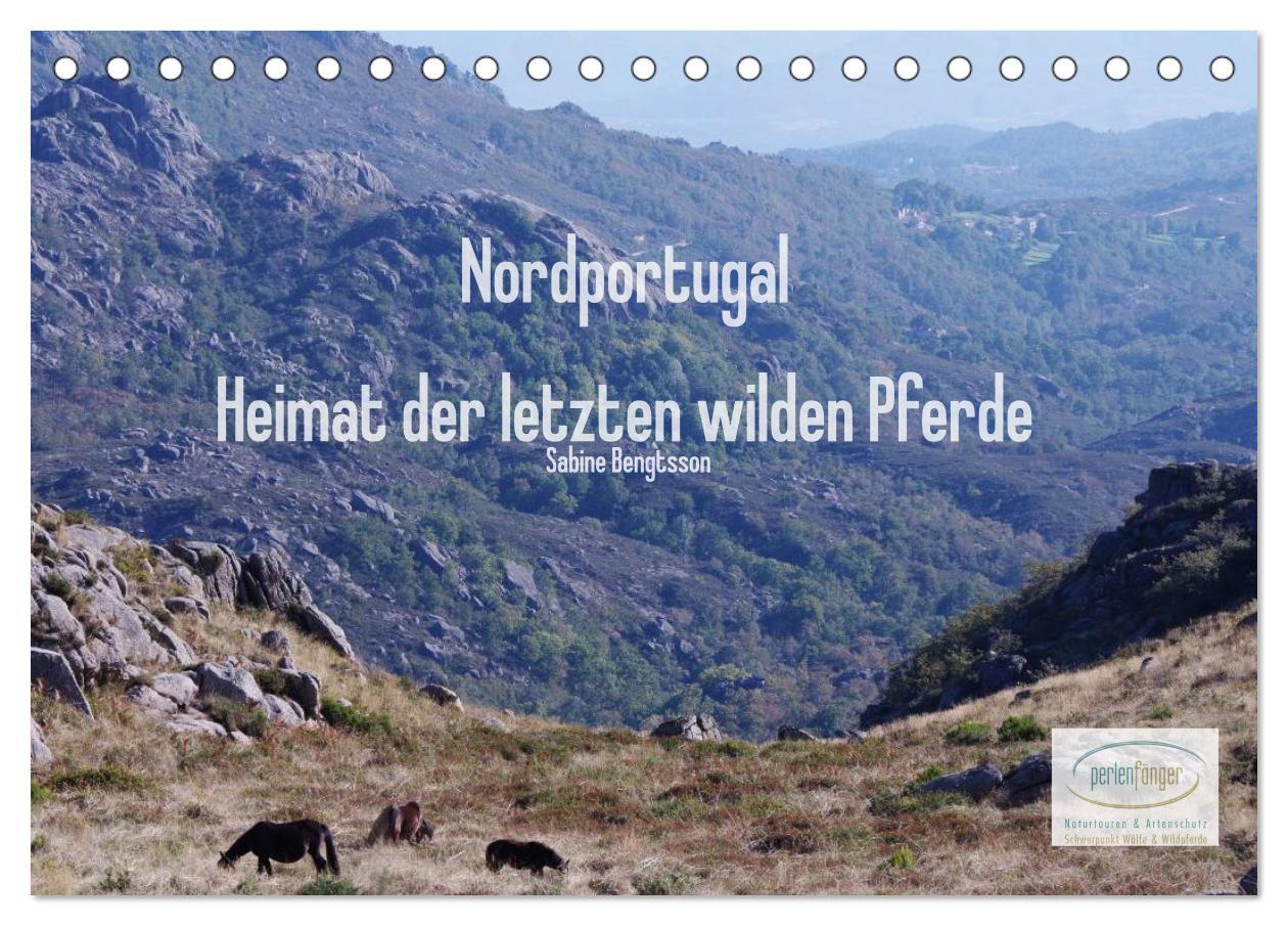 Cover: 9783435476800 | Nordportugal - Heimat der letzten wilden Pferde (Tischkalender 2025...