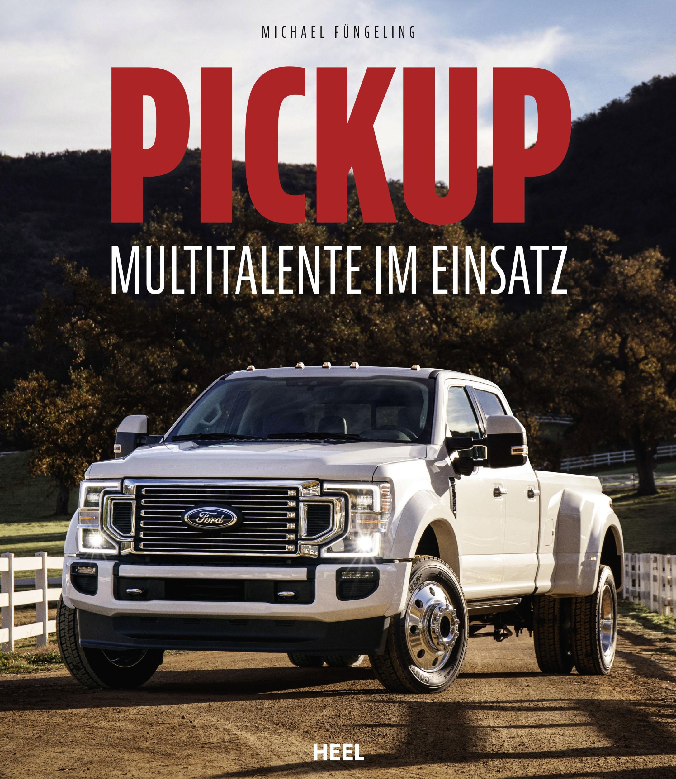 Cover: 9783958439412 | Pickup | Multitalente im Einsatz | Michael Füngeling | Buch | 208 S.