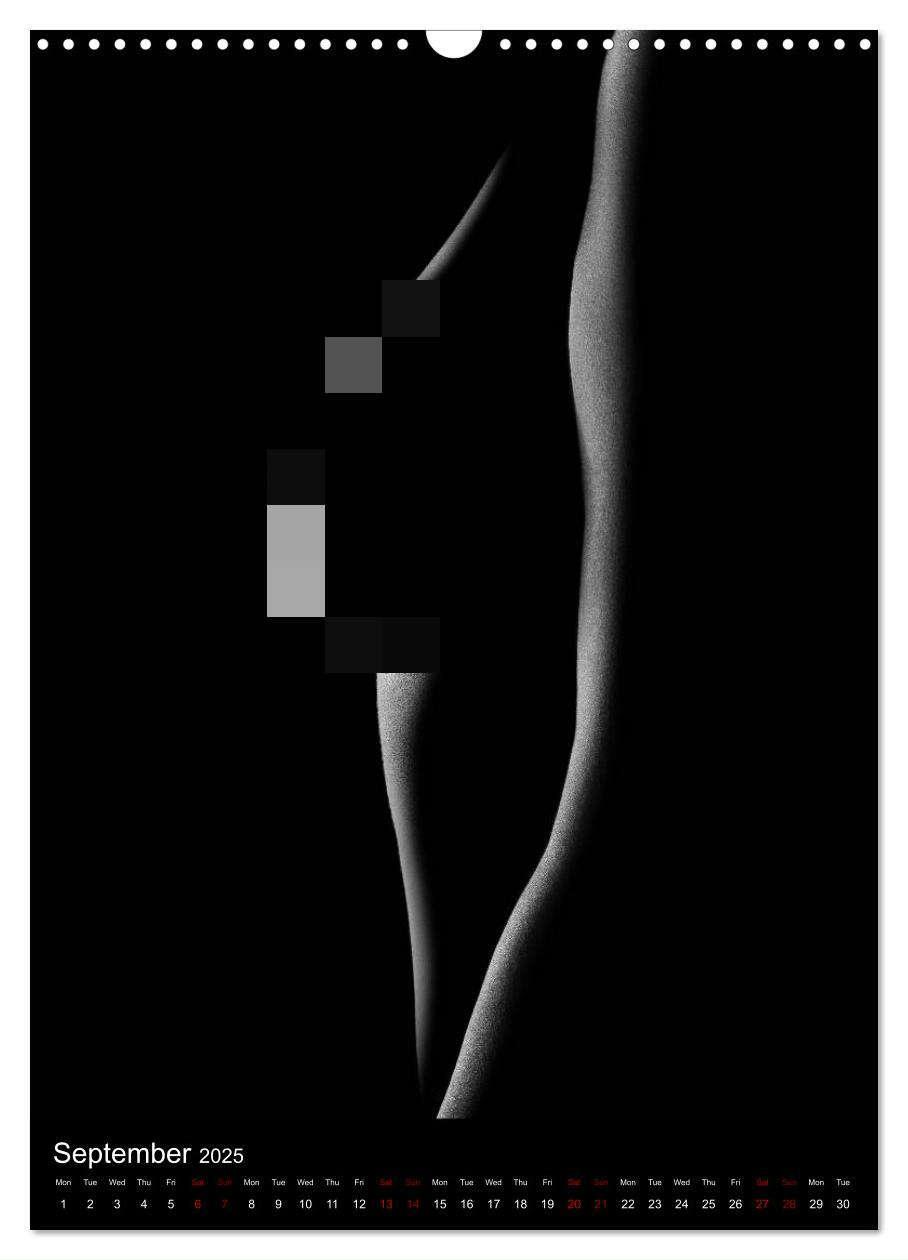 Bild: 9781325972951 | erotic shadows 2025 (Wall Calendar 2025 DIN A3 portrait), CALVENDO...