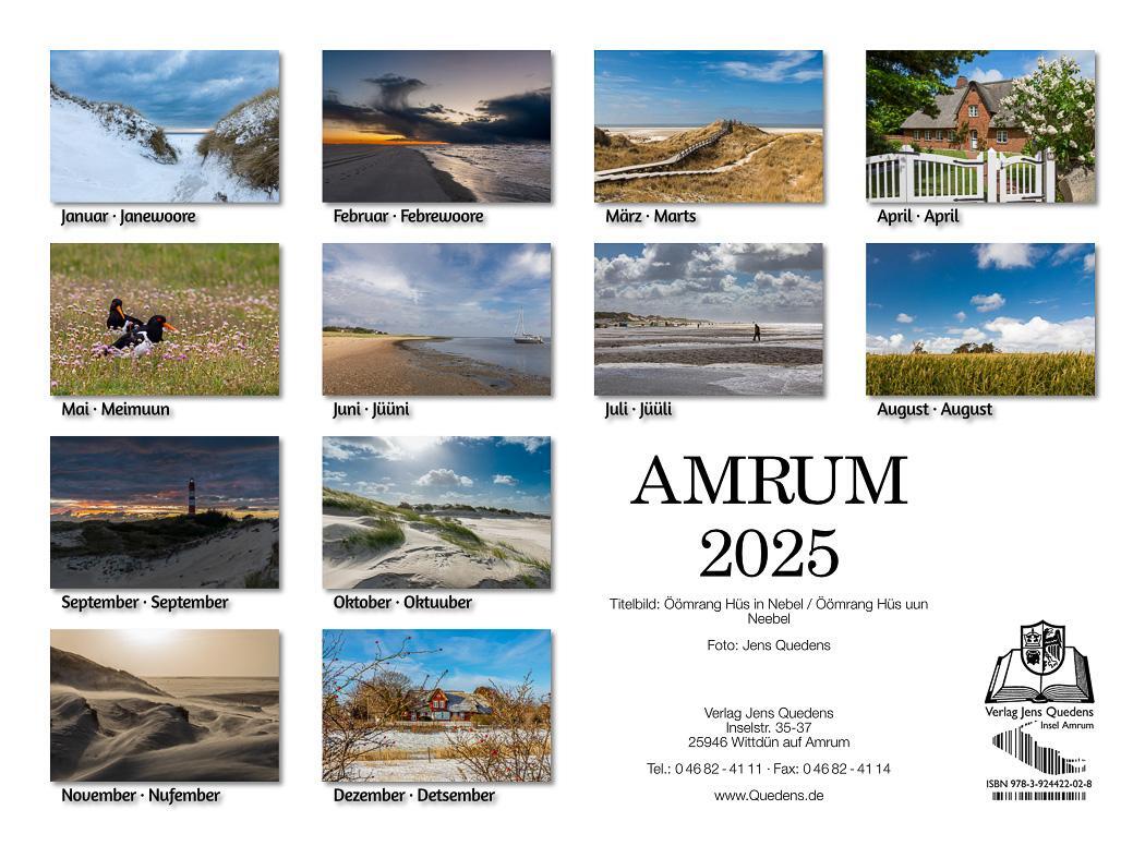 Bild: 9783924422028 | Amrum 2025 | Foto-Kalender | Kalender | Deutsch | 2025 | Quedens, Leif