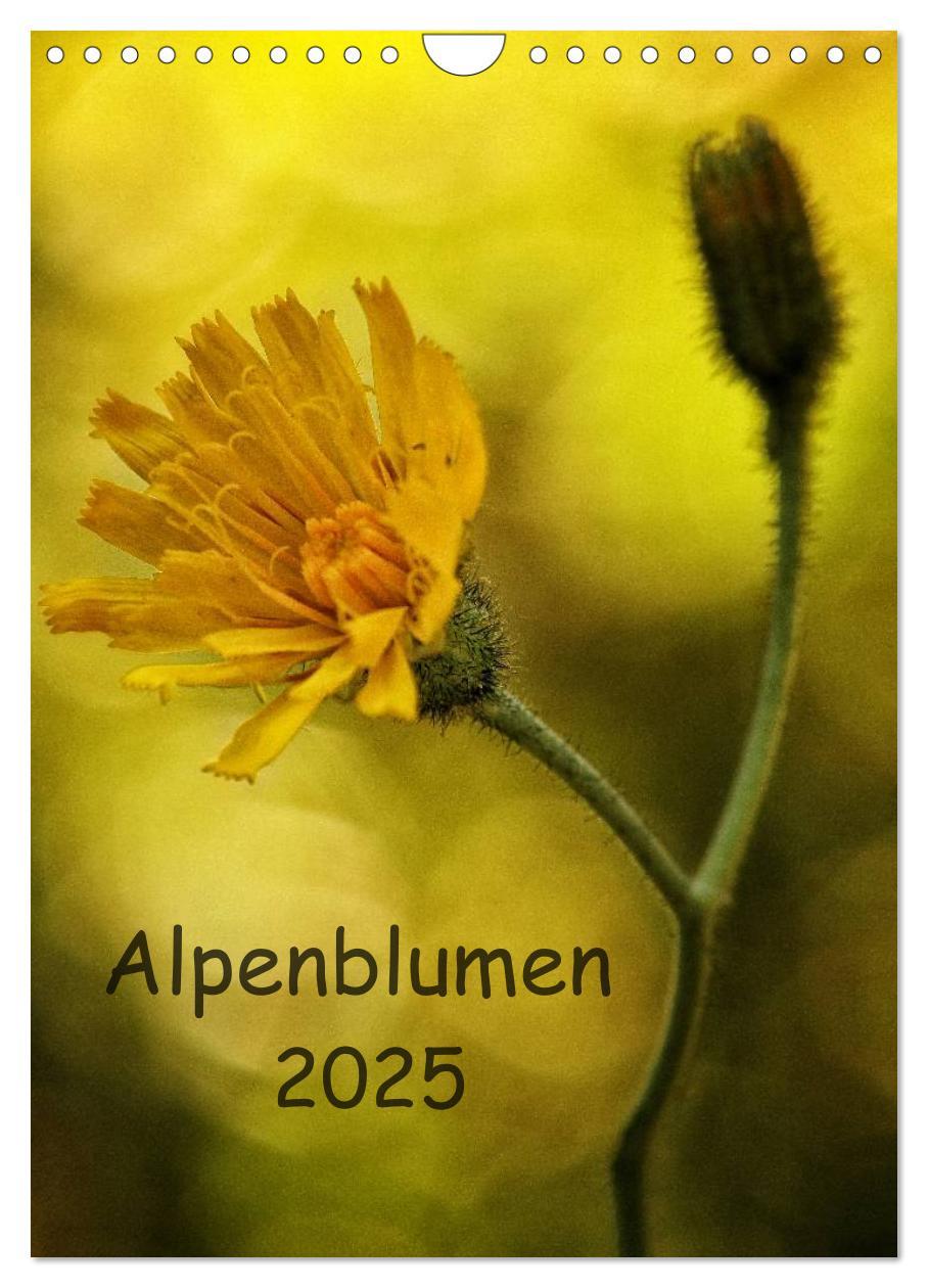 Cover: 9783457075432 | Alpenblumen 2025 (Wandkalender 2025 DIN A4 hoch), CALVENDO...