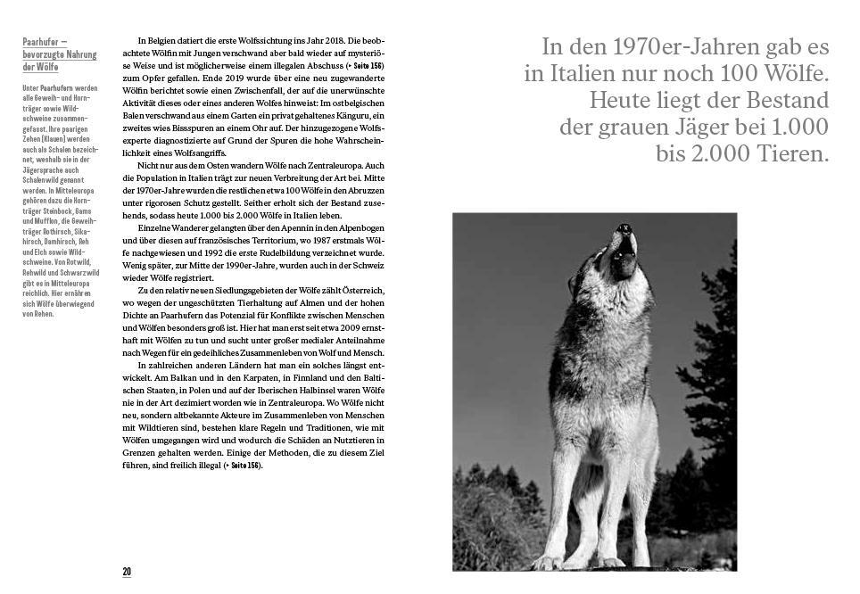 Bild: 9783711002587 | Er ist da | Der Wolf kehrt zurück | Klaus Hackländer | Buch | 224 S.