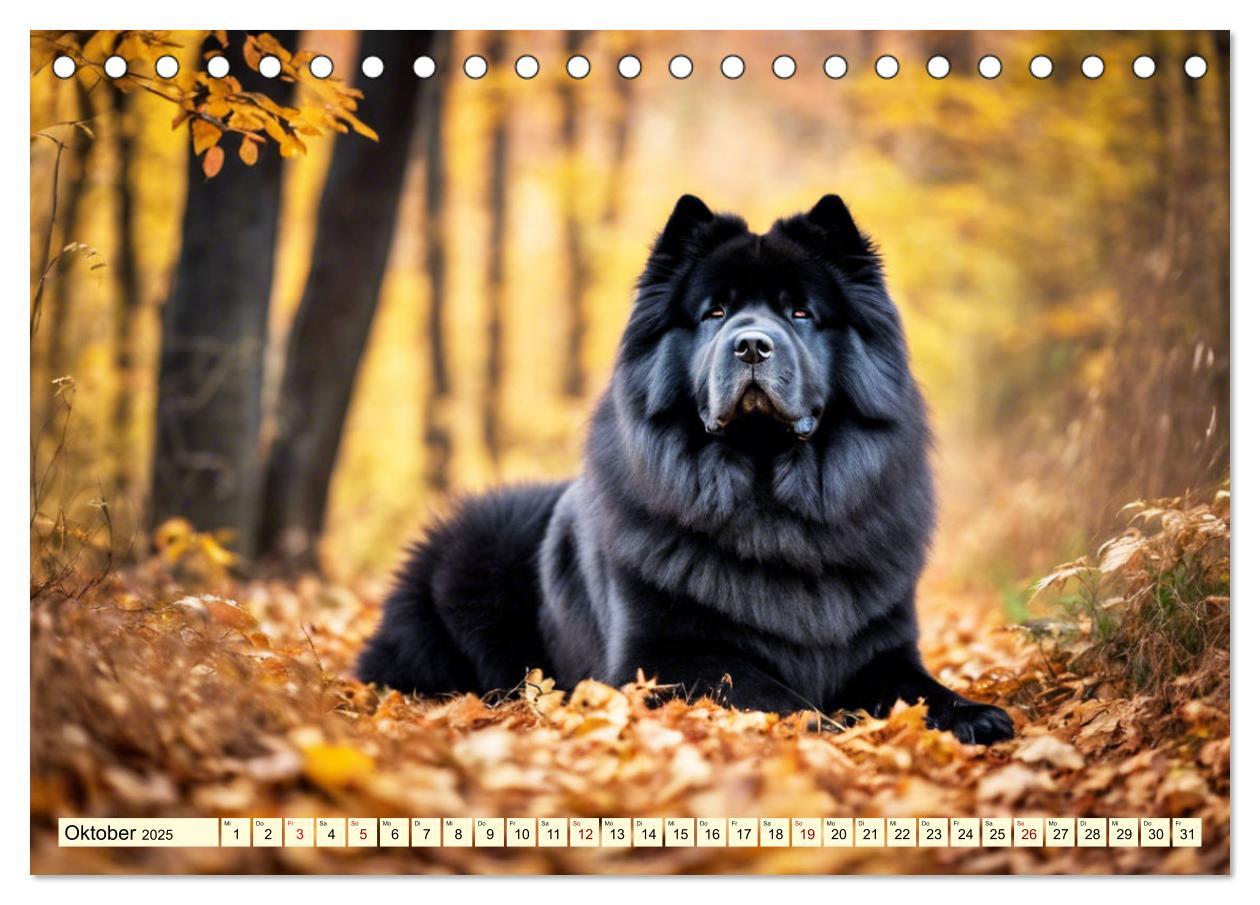 Bild: 9783457036945 | Chow Chow - der Löwenkopfhund (Tischkalender 2025 DIN A5 quer),...