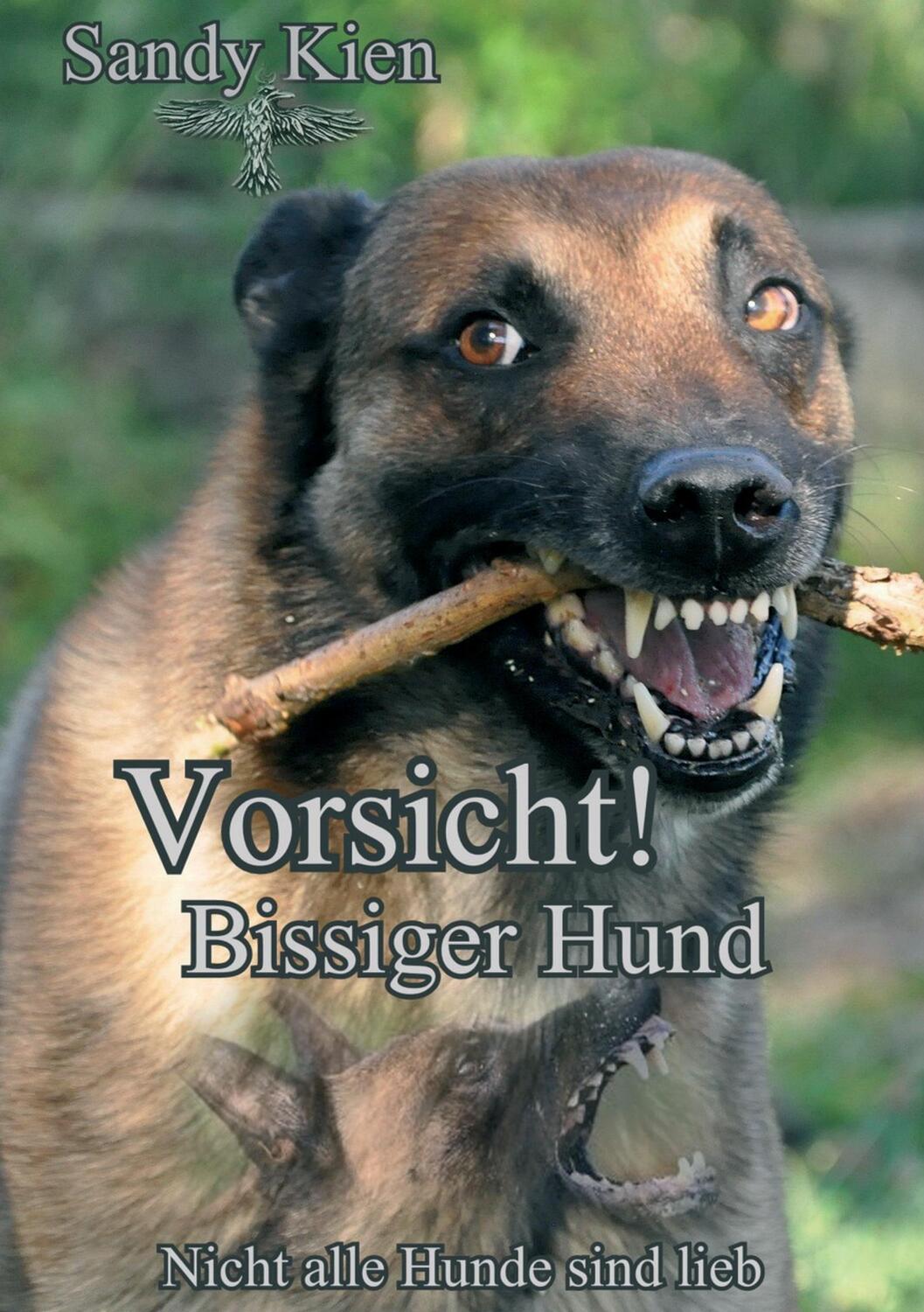 Cover: 9783743917835 | Vorsicht, bissiger Hund! | Sandy Kien | Taschenbuch | tredition