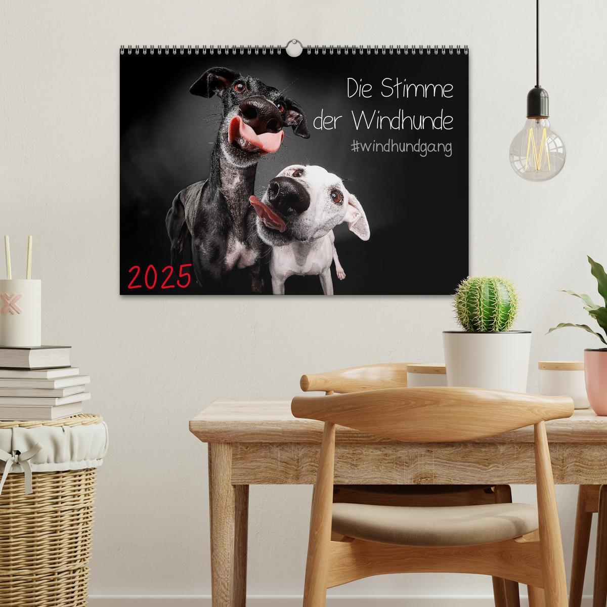 Bild: 9783435228522 | Die Stimme der Windhunde (Wandkalender 2025 DIN A3 quer), CALVENDO...